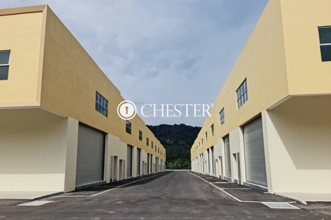 IMG-20221116-WA0028-1