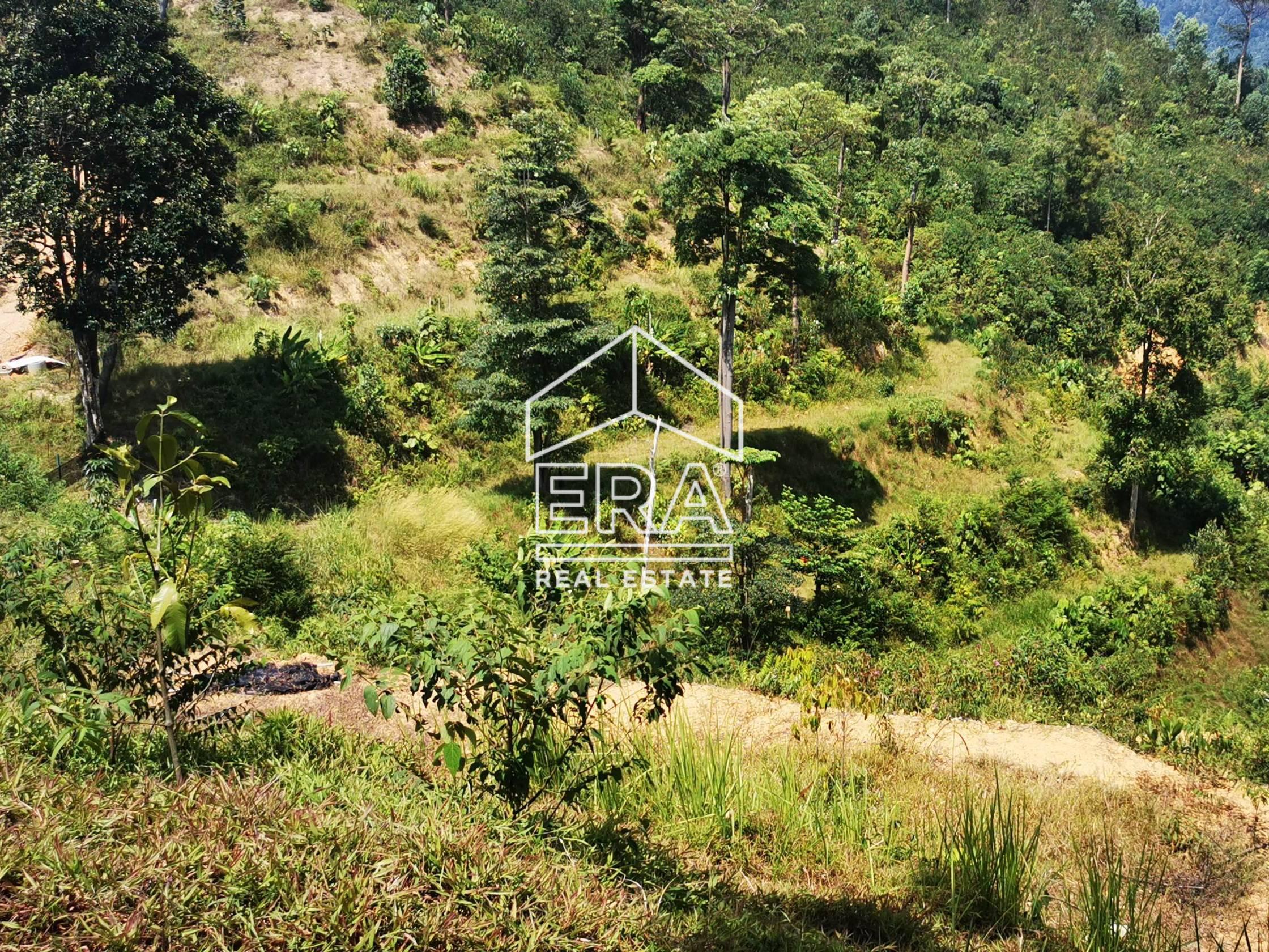 IMG_20211011_142222-crushimage