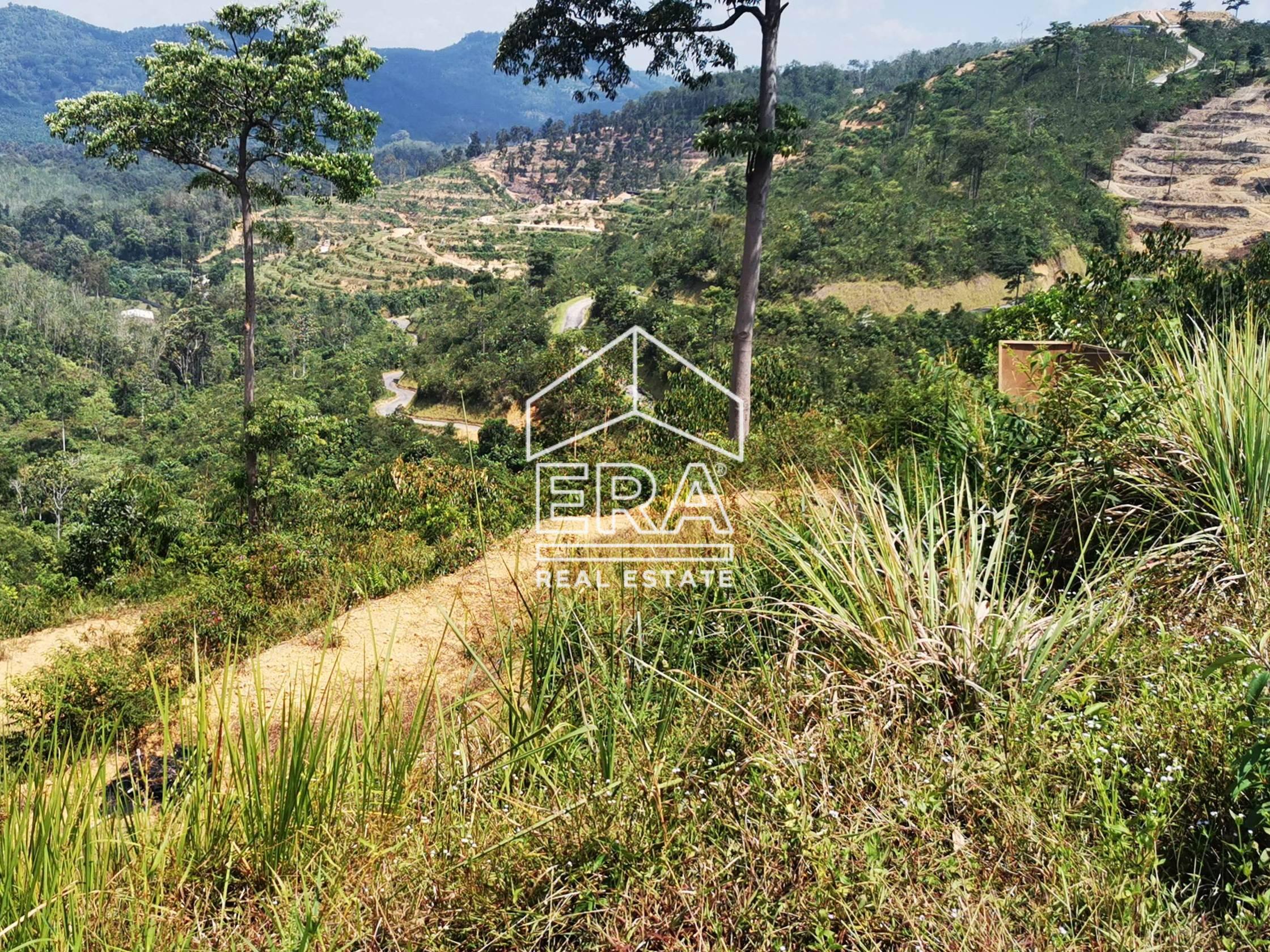 IMG_20211011_142330-crushimage