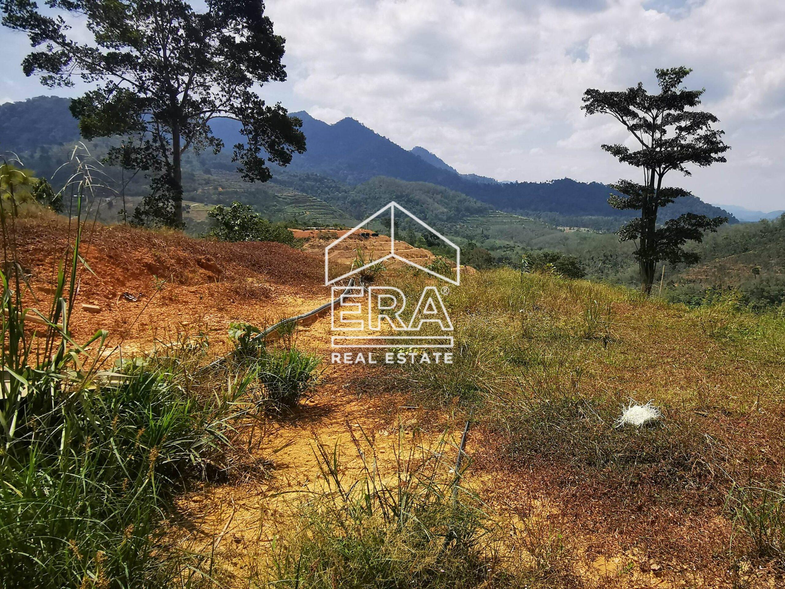 IMG_20211011_142347-crushimage-scaled-1