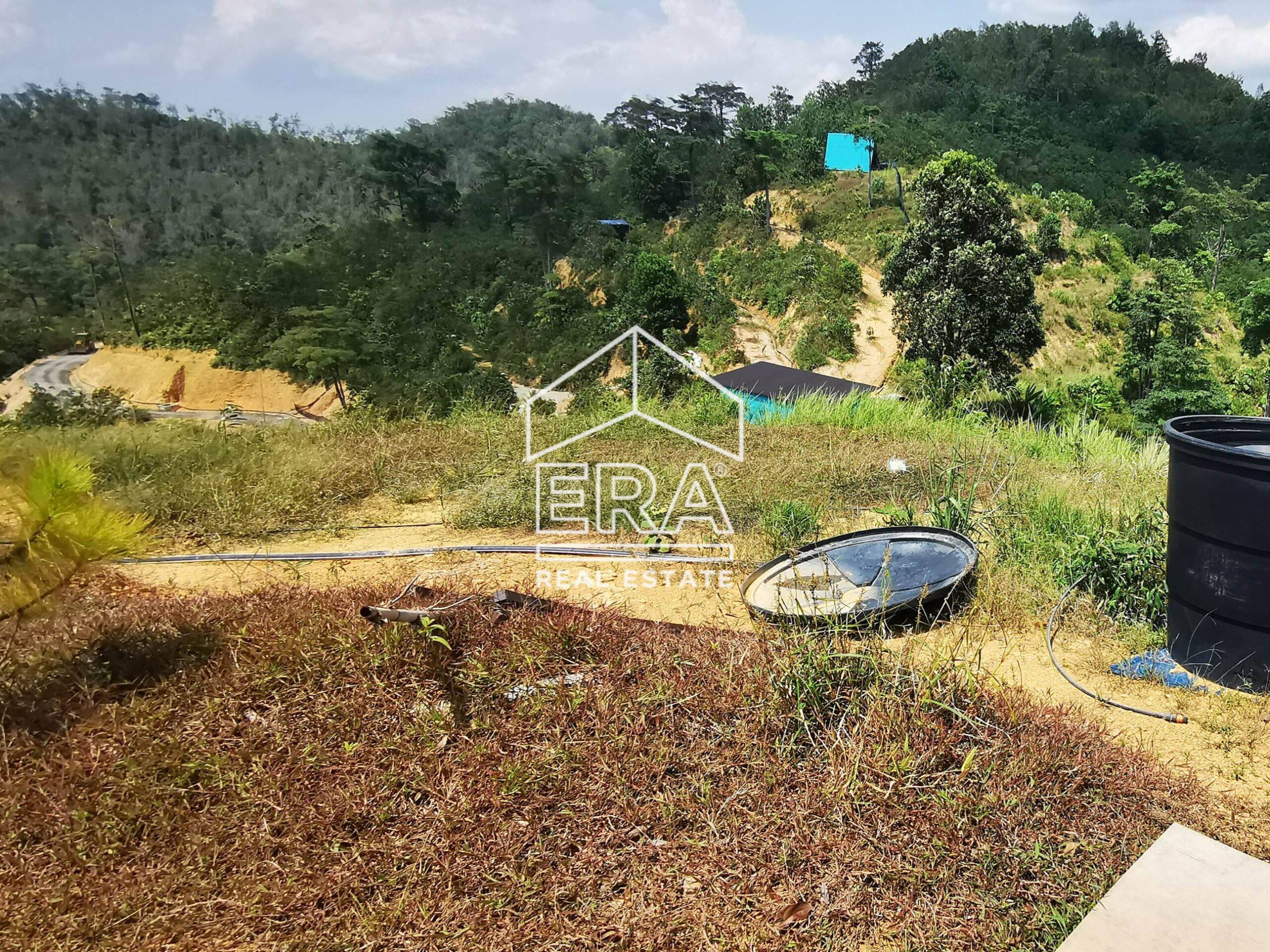 IMG_20211011_142411-crushimage-scaled-1