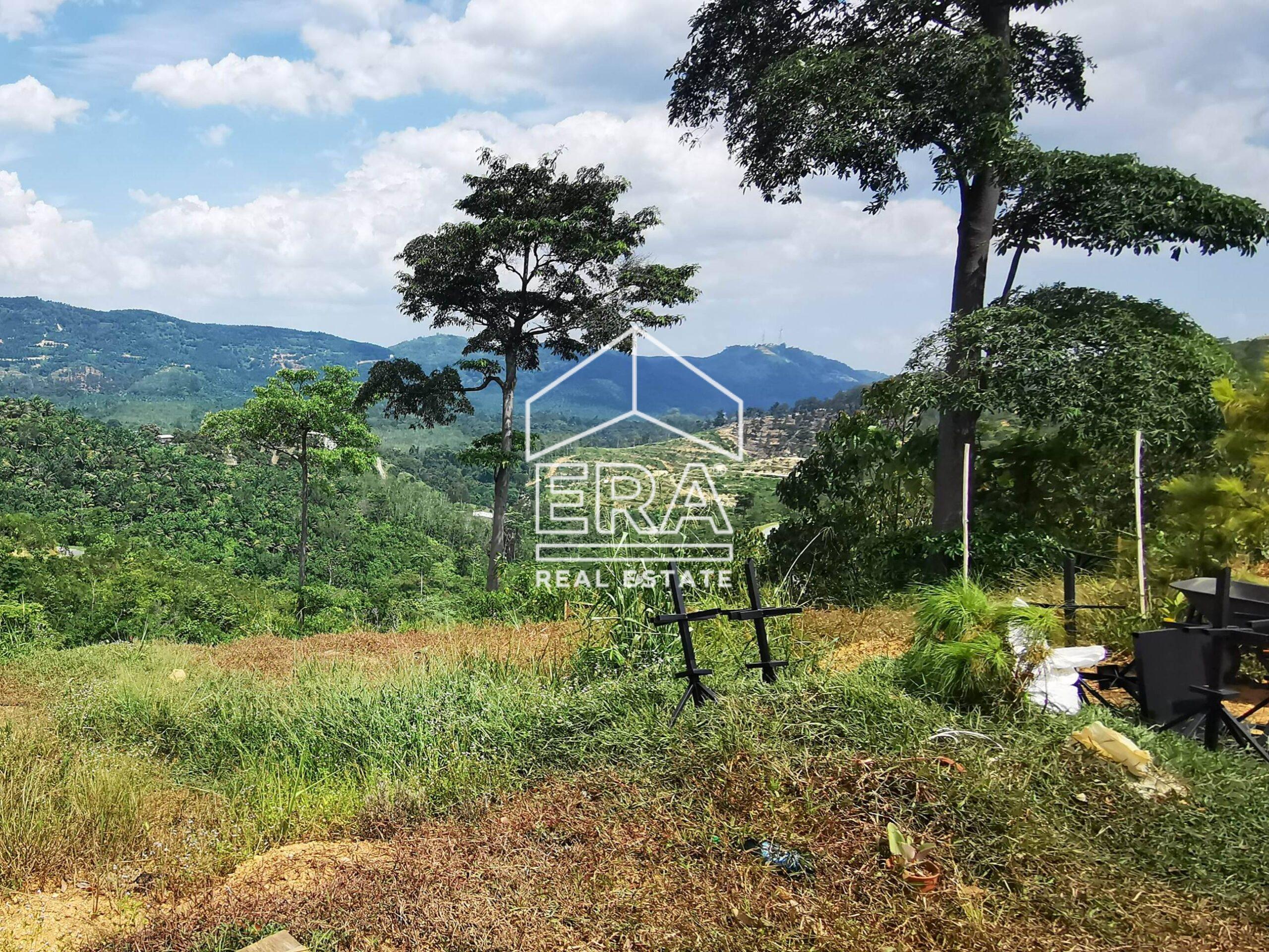 IMG_20211011_142414-crushimage-scaled-2