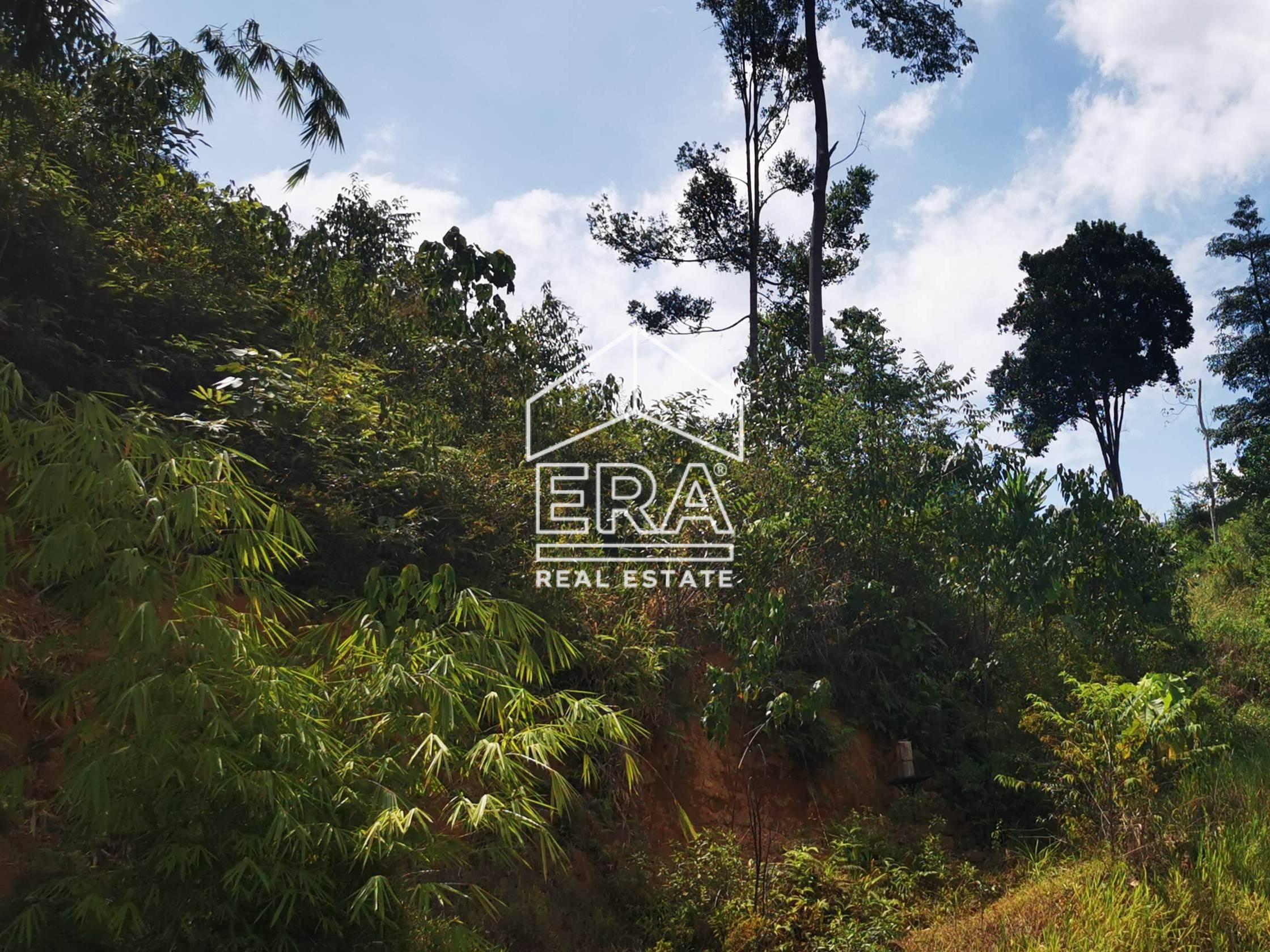 IMG_20211011_143203-crushimage