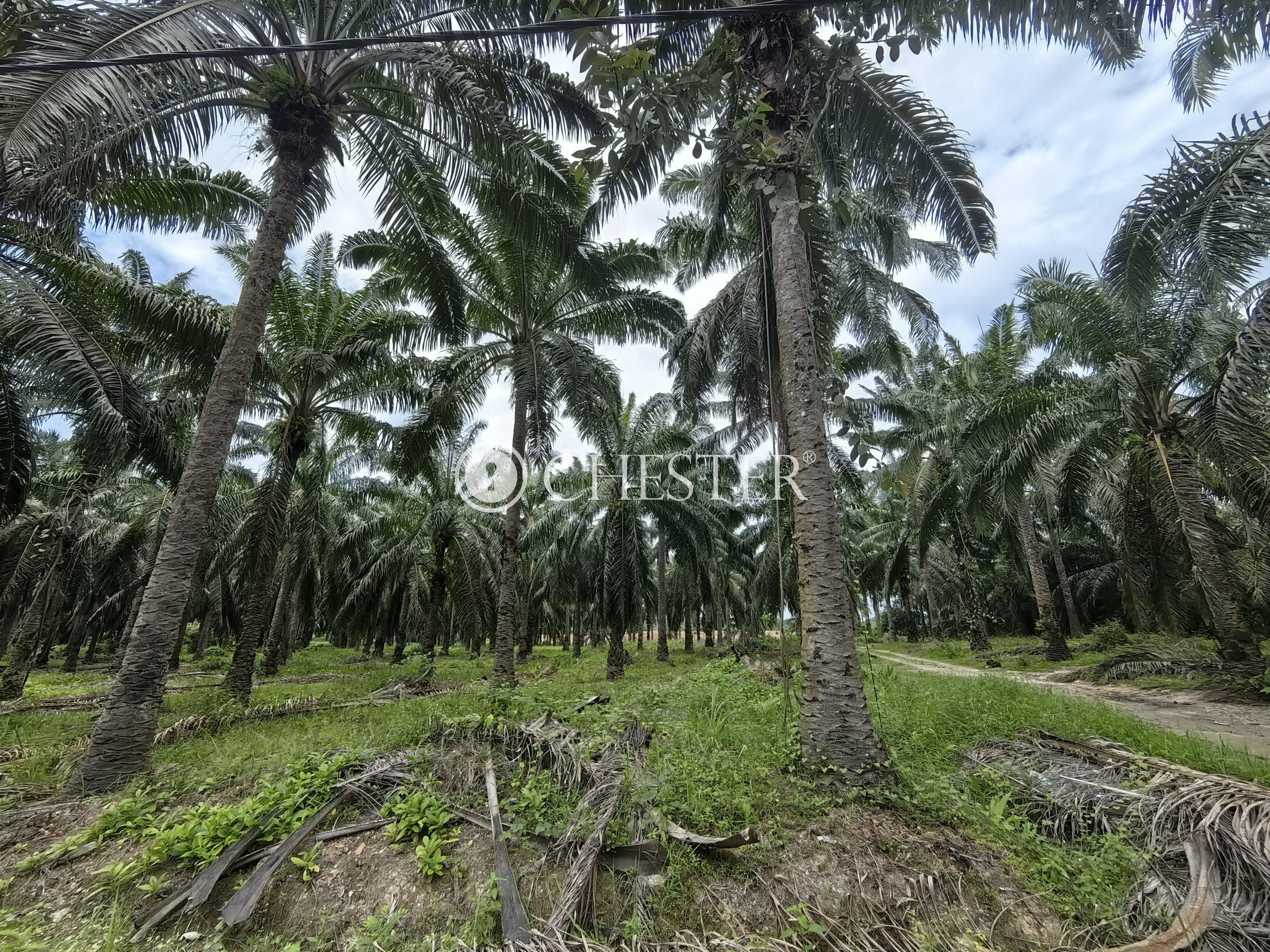 IMG_20230706_132300-scaled-1