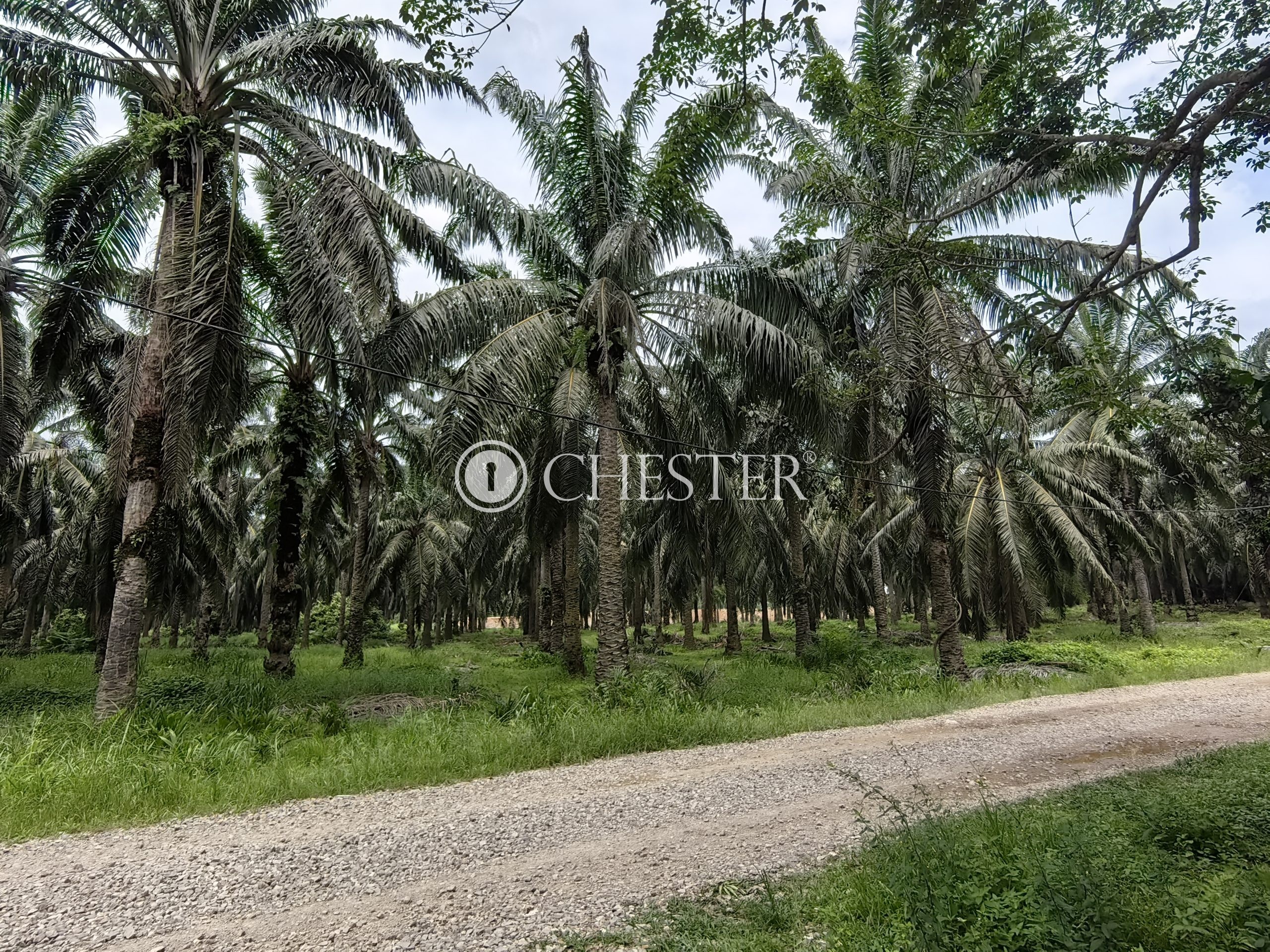 IMG_20230706_132506-scaled-1