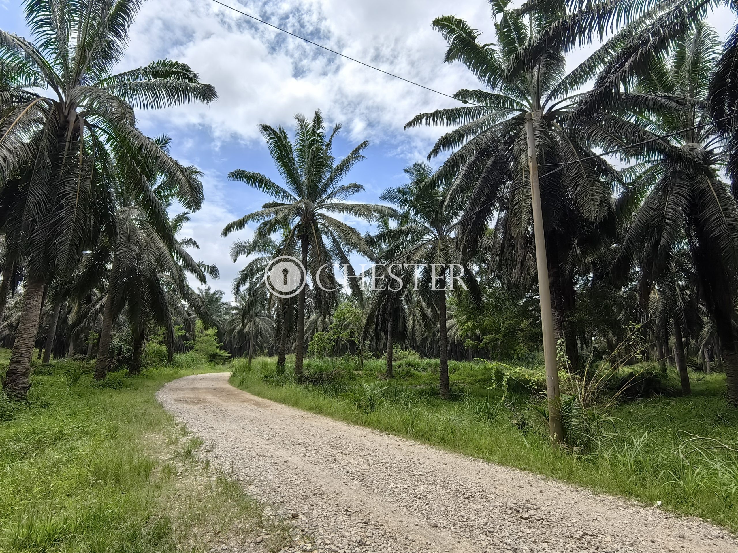 IMG_20230706_132512-scaled-1