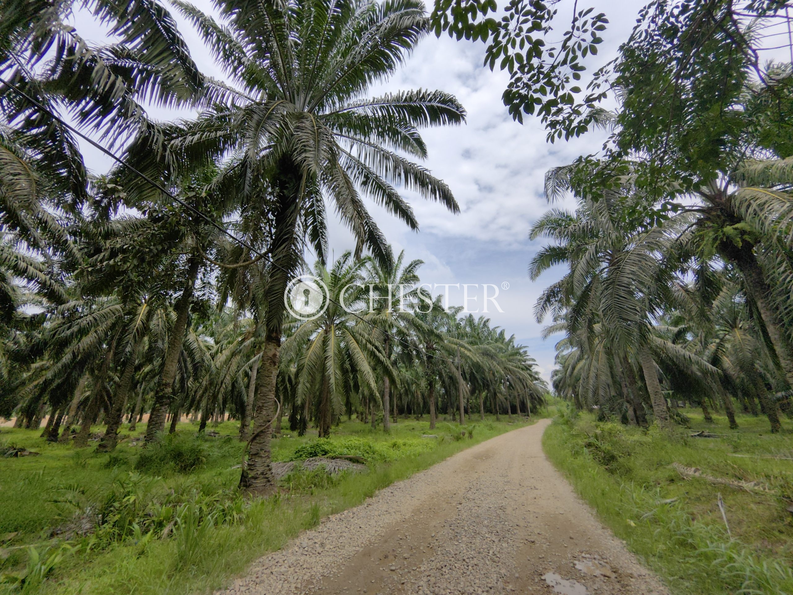 IMG_20230706_132649-scaled-1