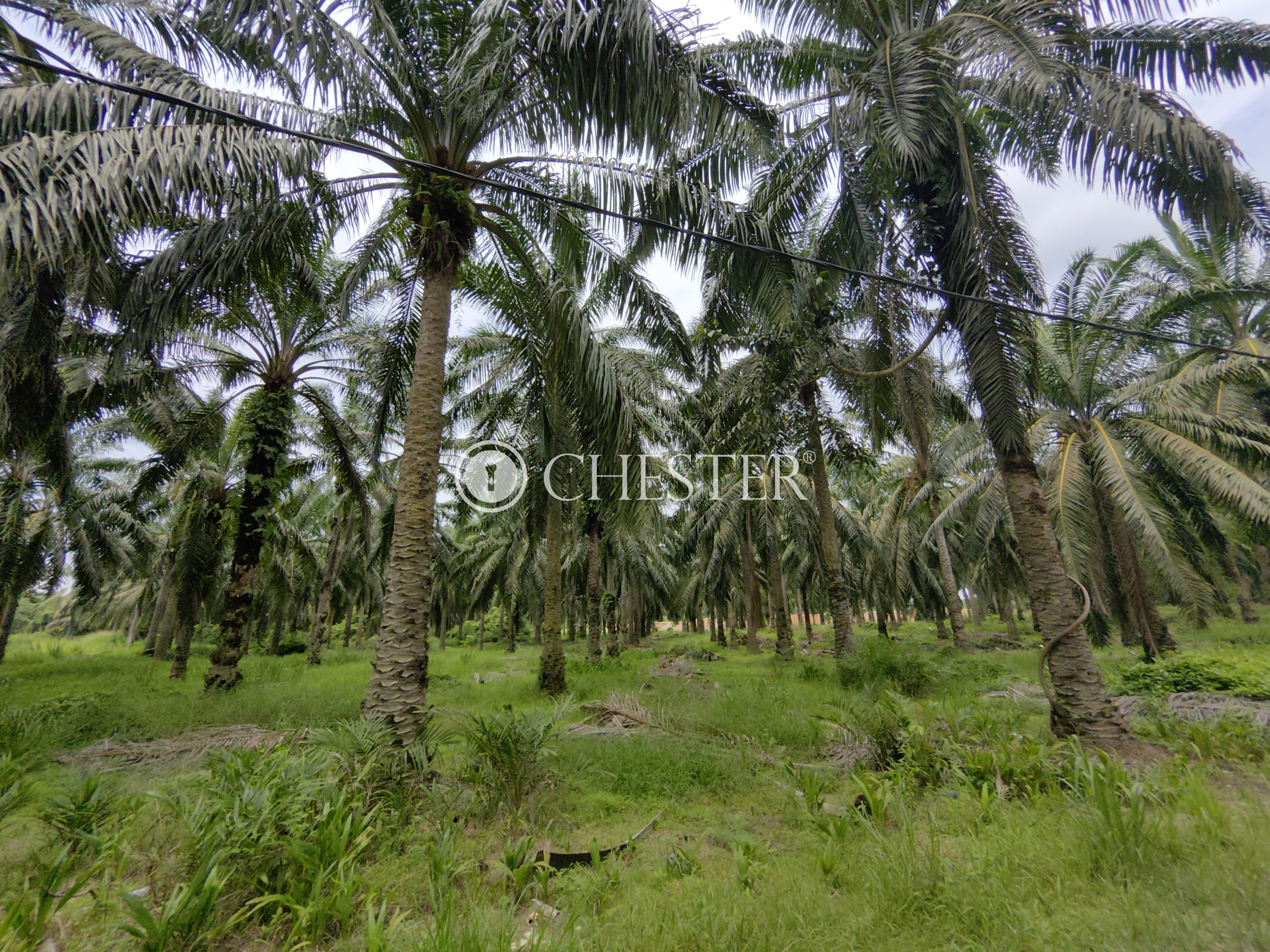 IMG_20230706_132656-scaled-1