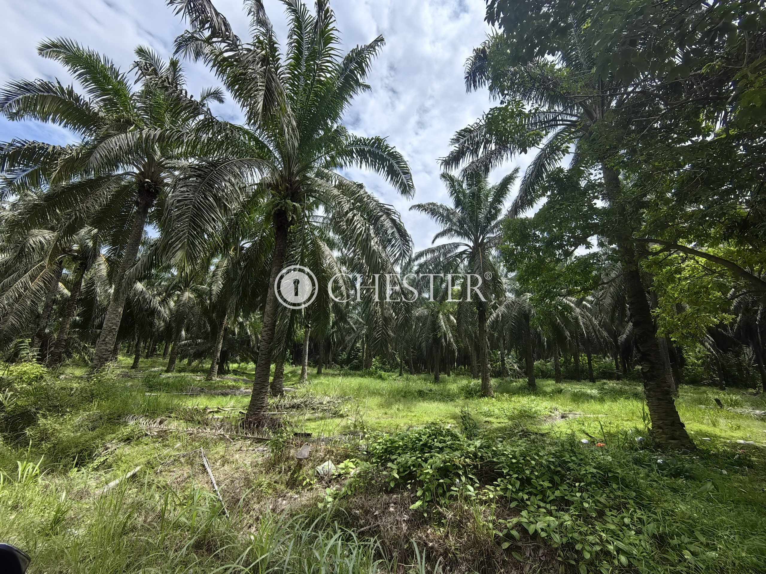 IMG_20230706_133439-scaled-2