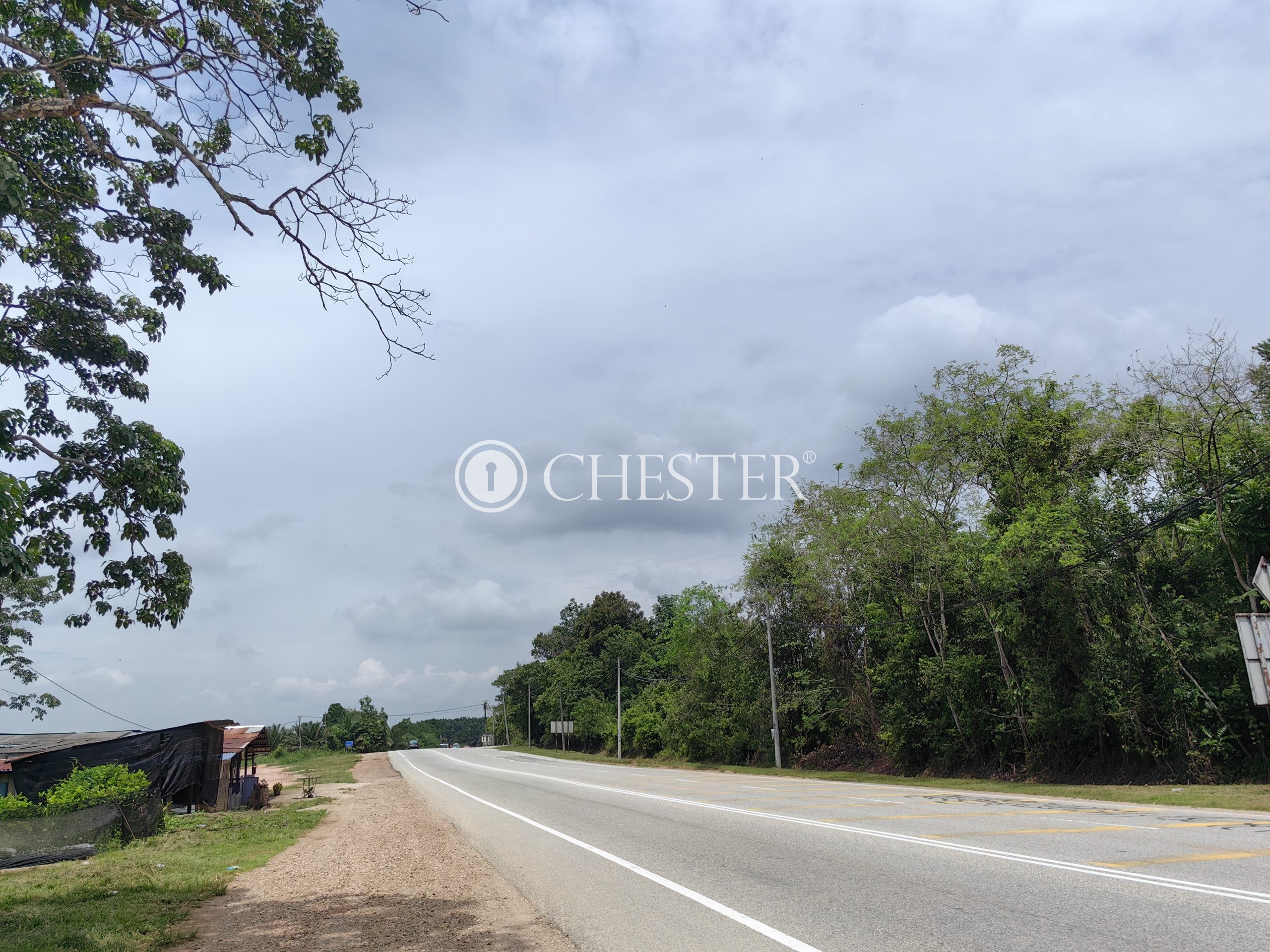 IMG_20230706_133550-scaled-1