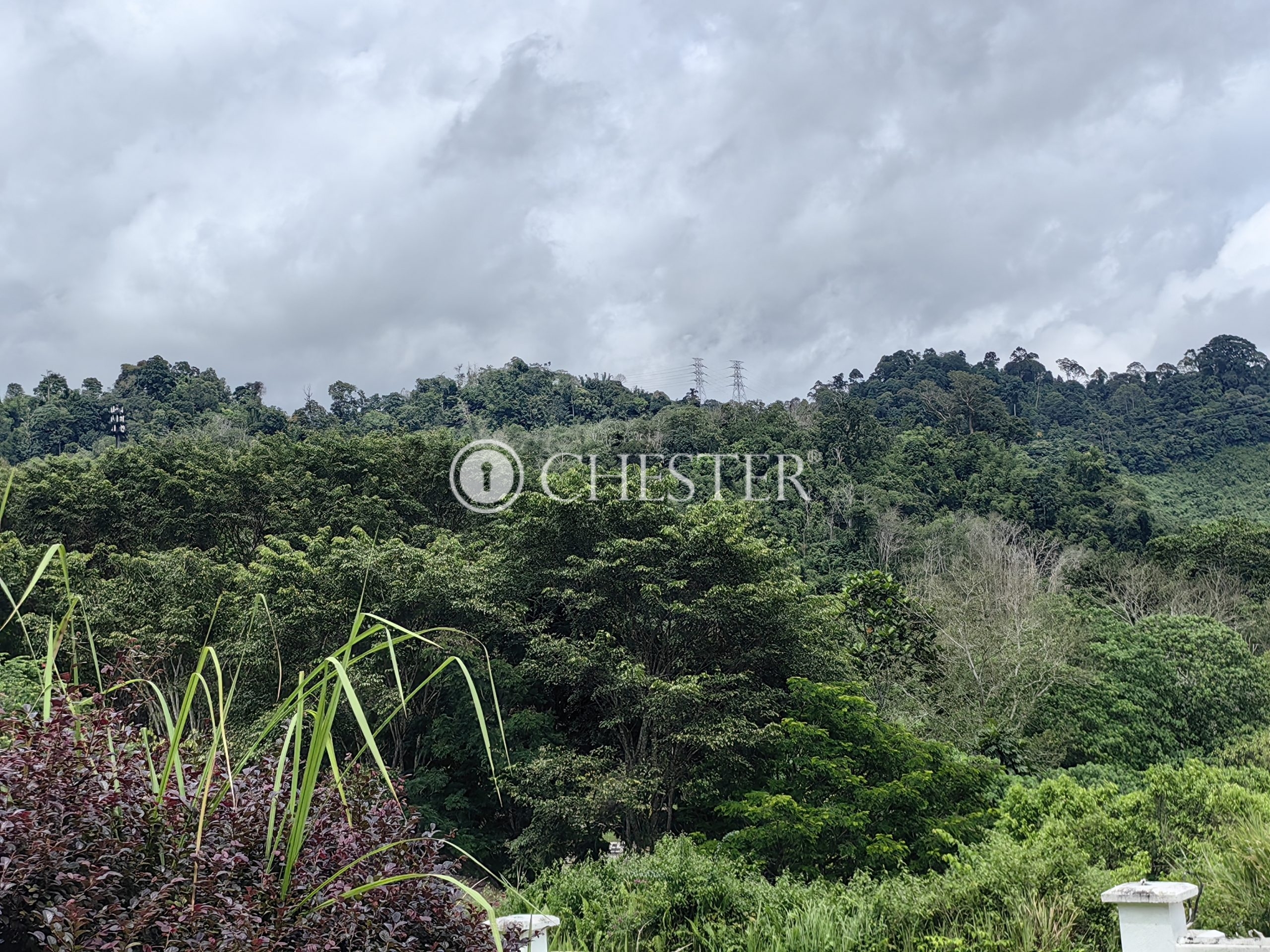 IMG_20231126_133828-scaled-2