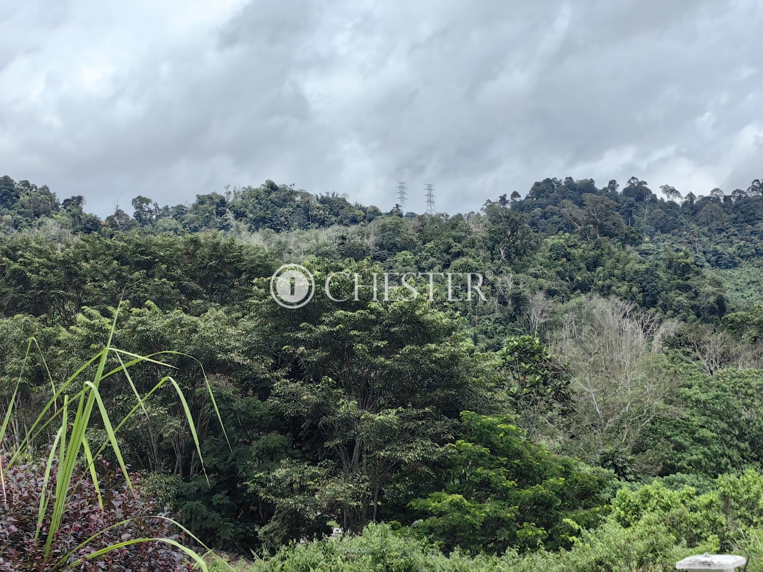 IMG_20231126_133841-scaled-1