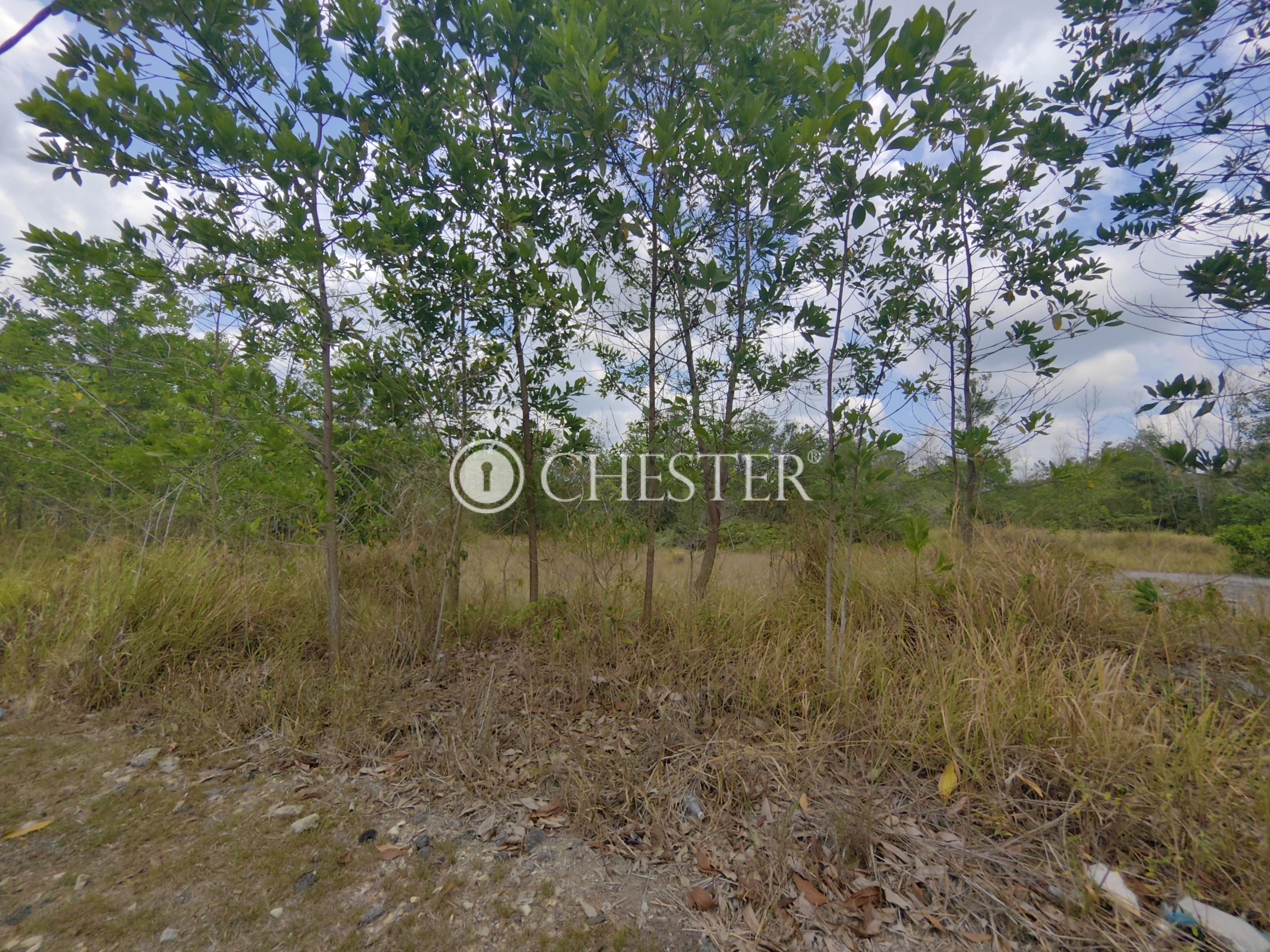 IMG_20240416_123432-min-scaled-1