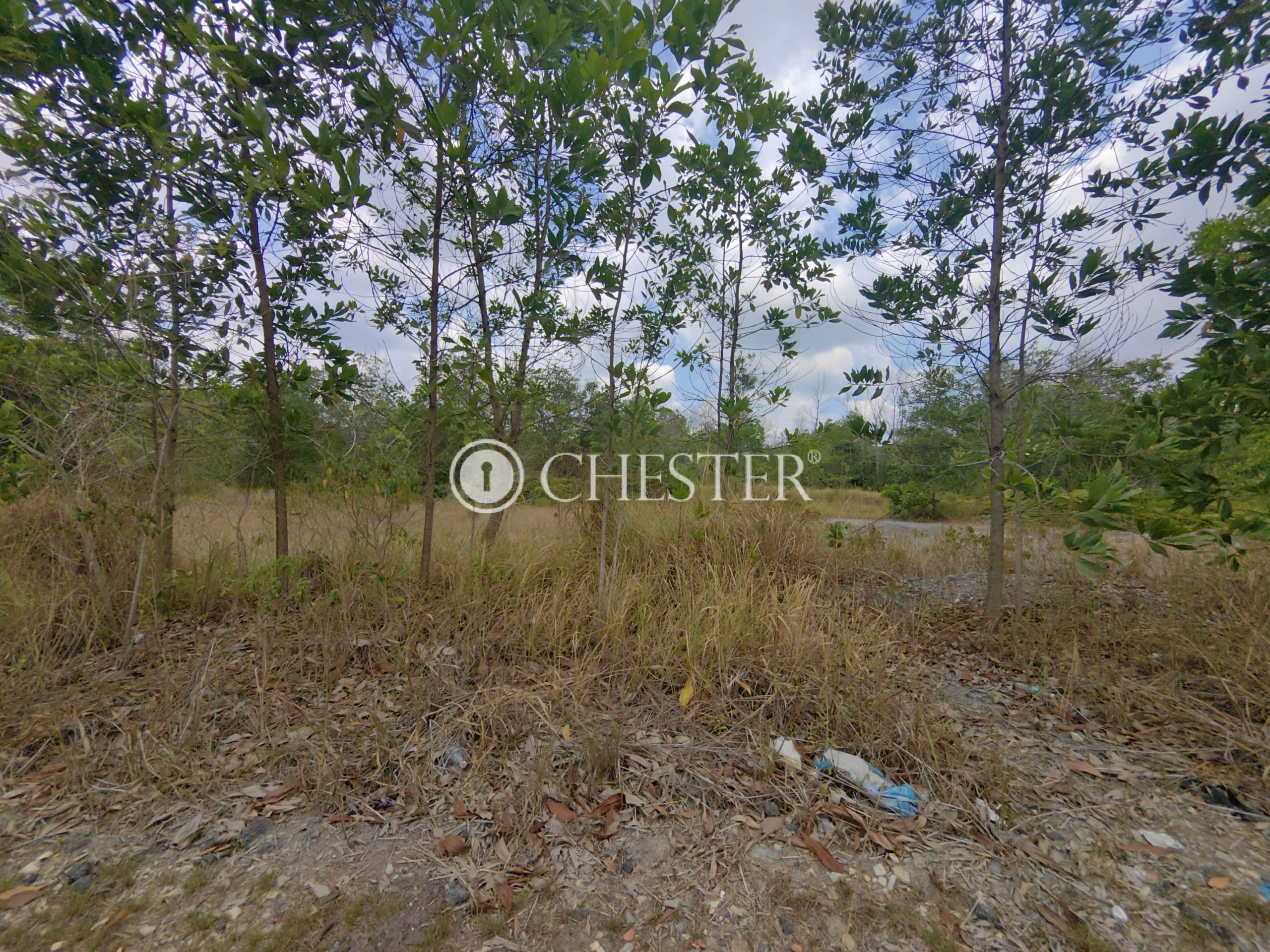 IMG_20240416_123434-min-scaled-1