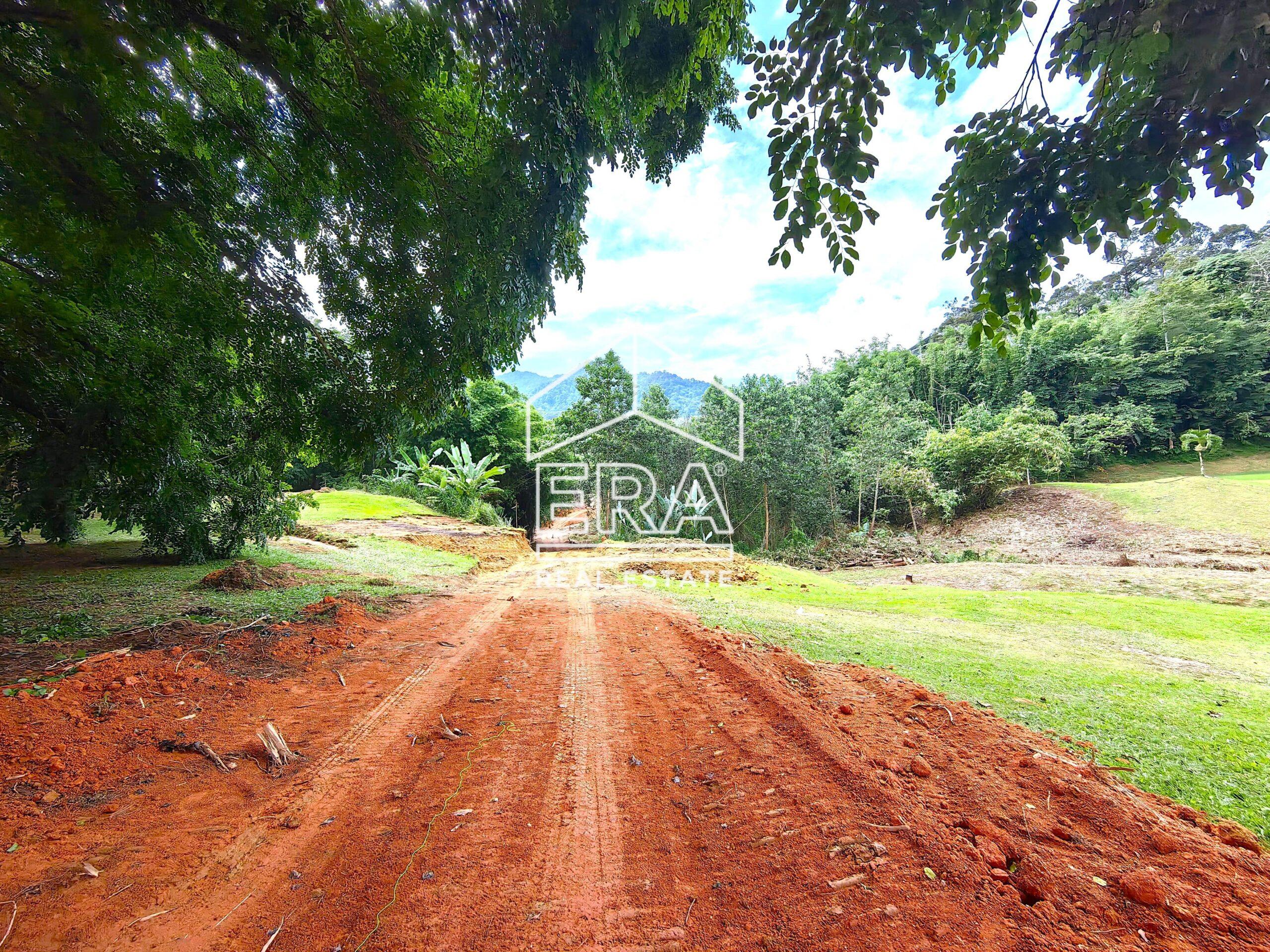 IMG_20240701_150304-crushimage-scaled-1