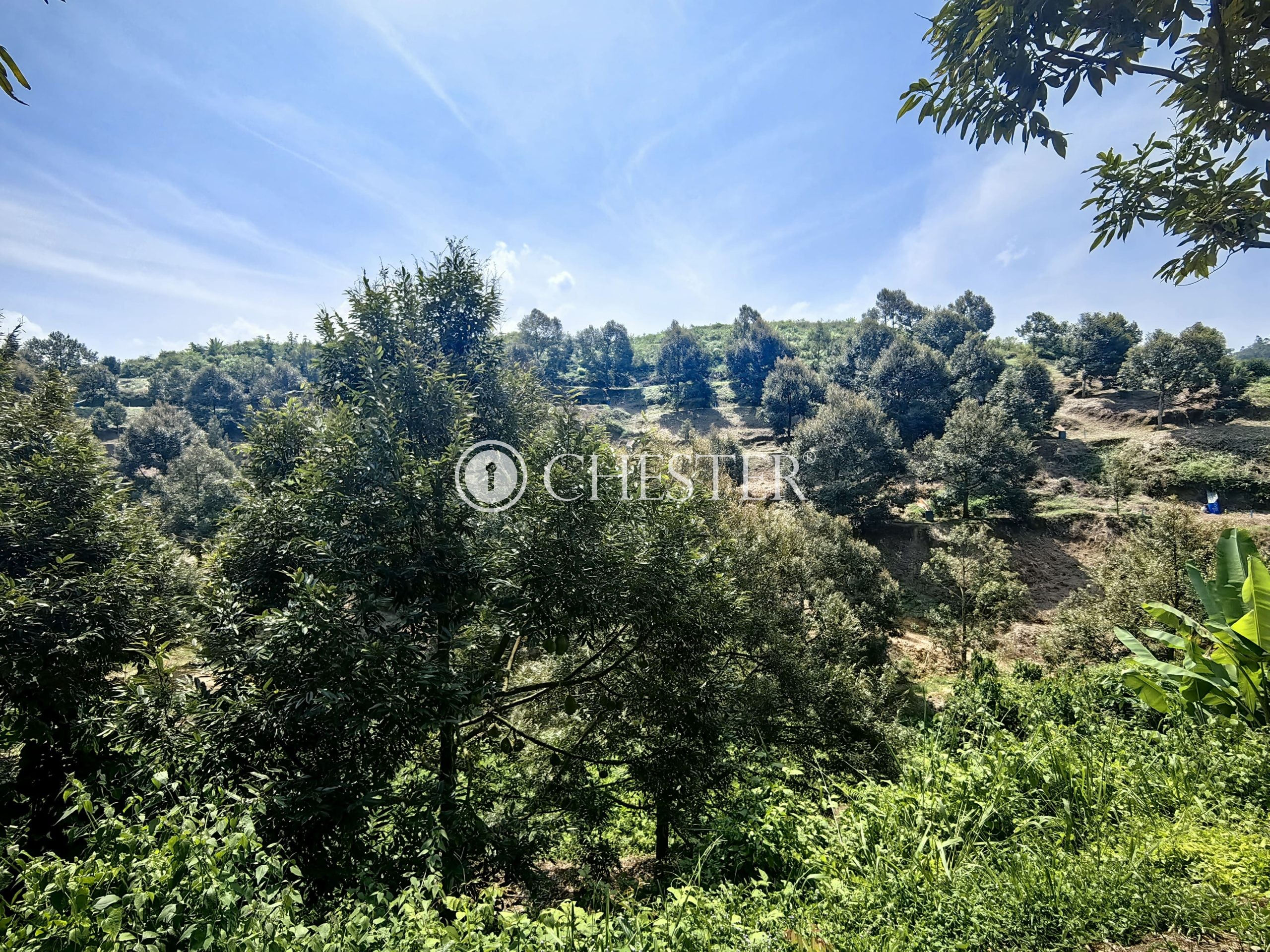 IMG_20240703_142732-scaled-1