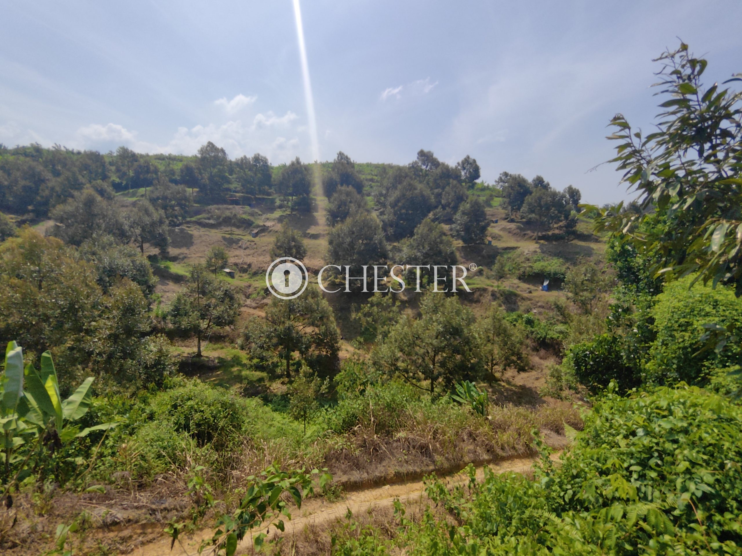 IMG_20240703_142955-scaled-1