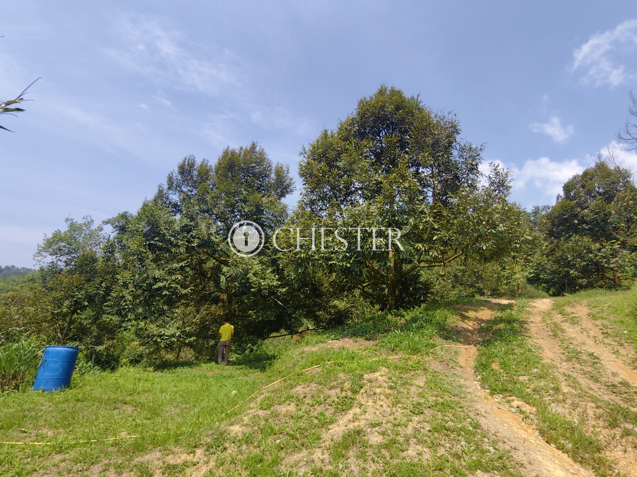 IMG_20240703_143007-scaled-1