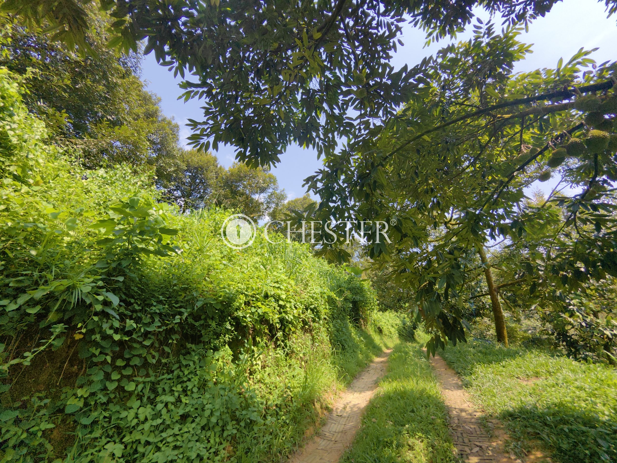 IMG_20240703_143046-scaled-1