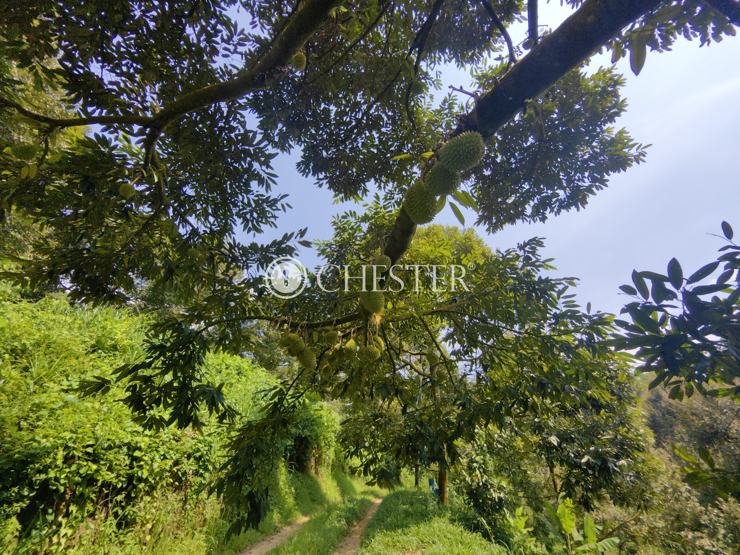 IMG_20240703_143102-scaled-1