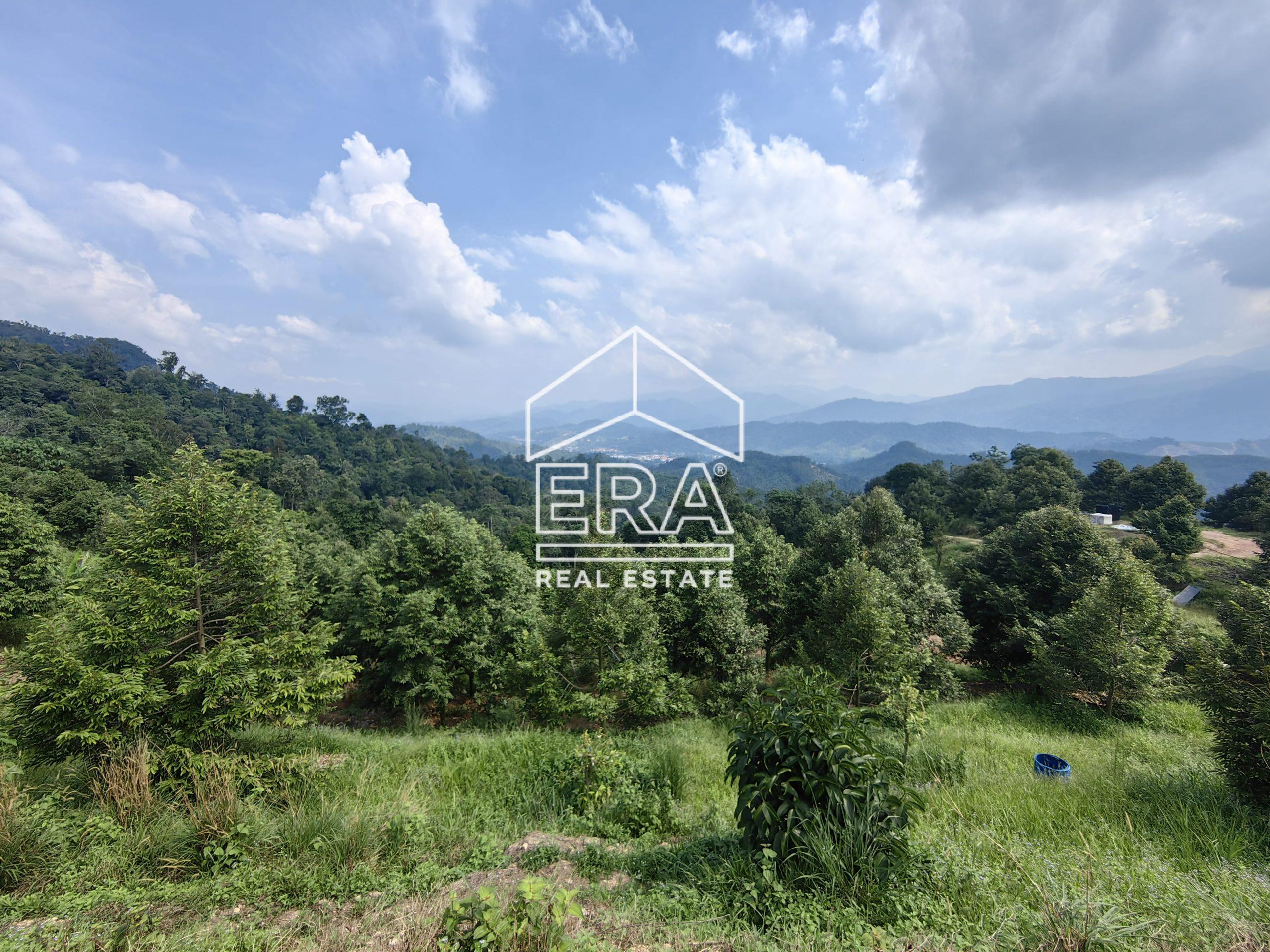 IMG_20240703_151847-2-scaled-1