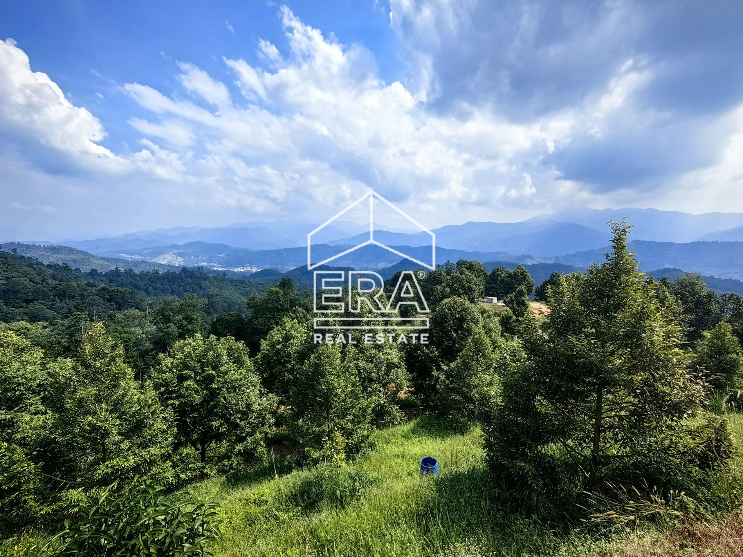 IMG_20240703_151949-2-scaled-1