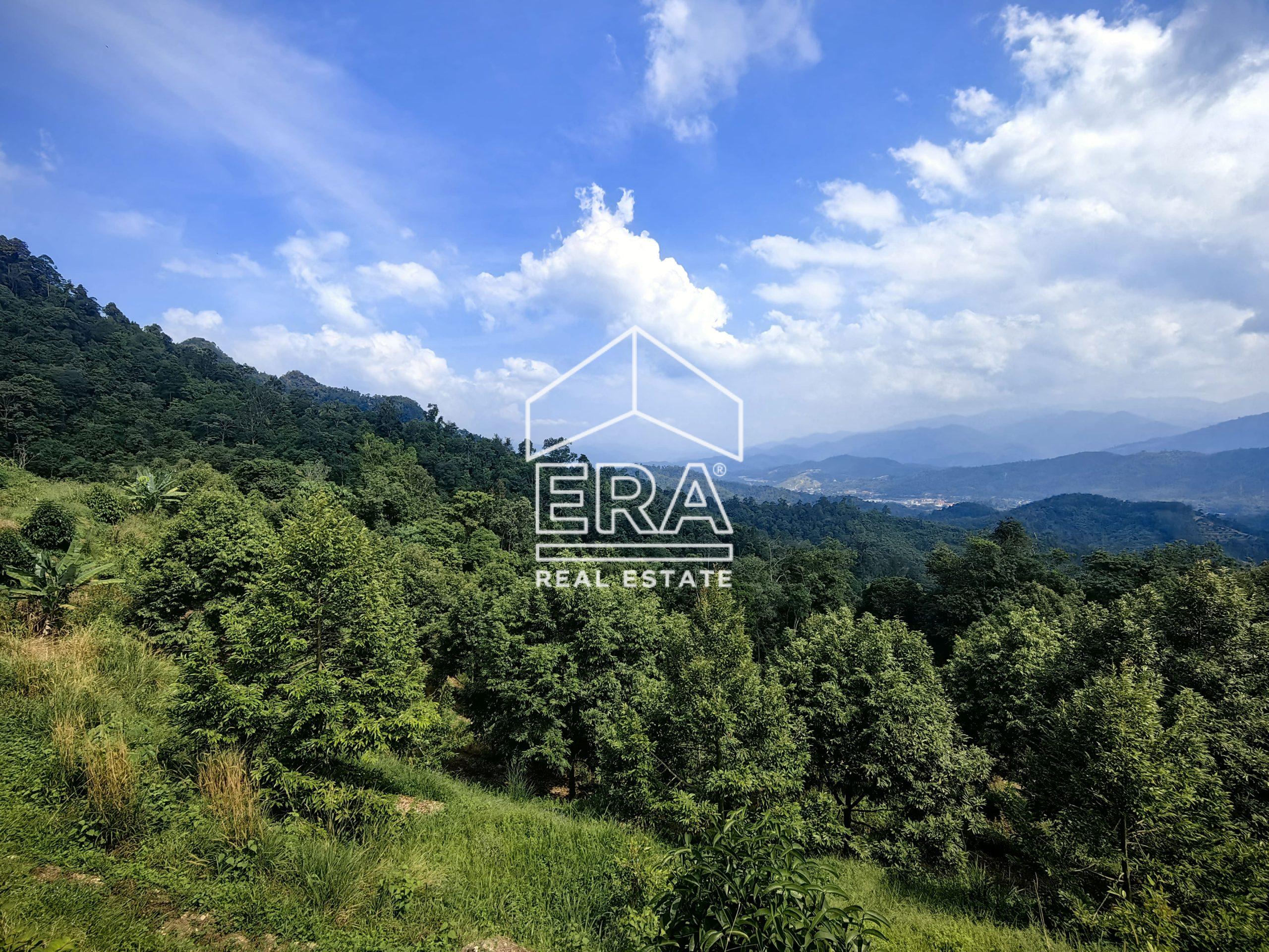 IMG_20240703_151952-2-scaled-1