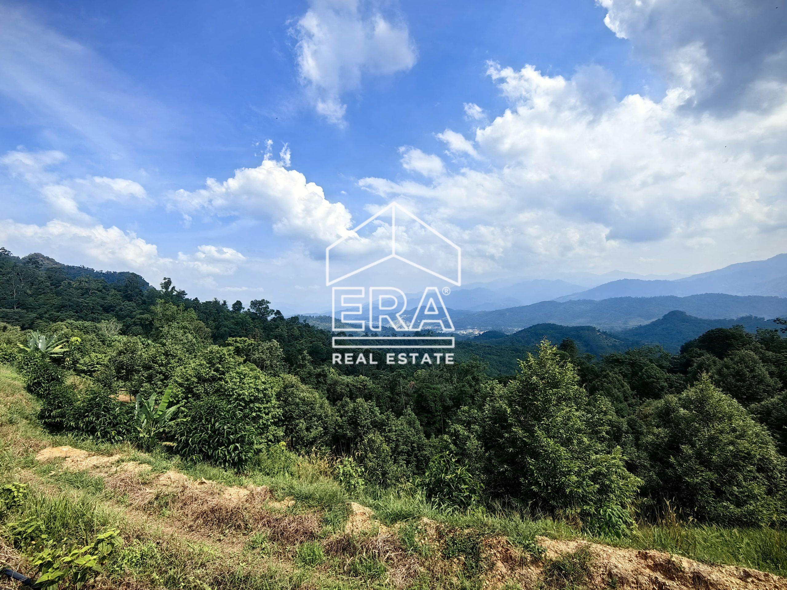 IMG_20240703_152014-2-scaled-2