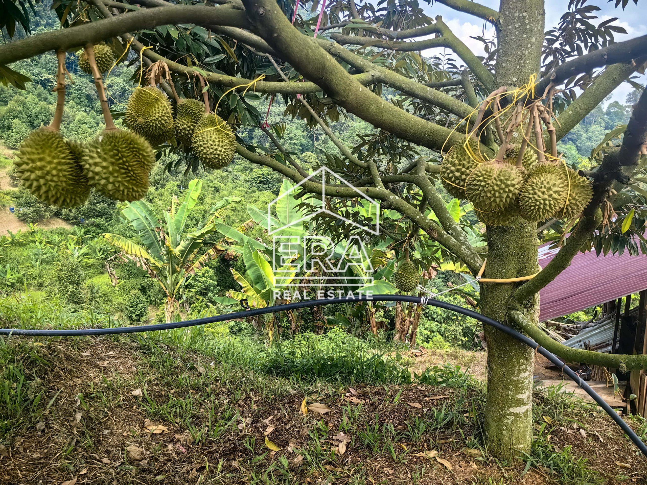 IMG_20240703_152115-1-scaled-1