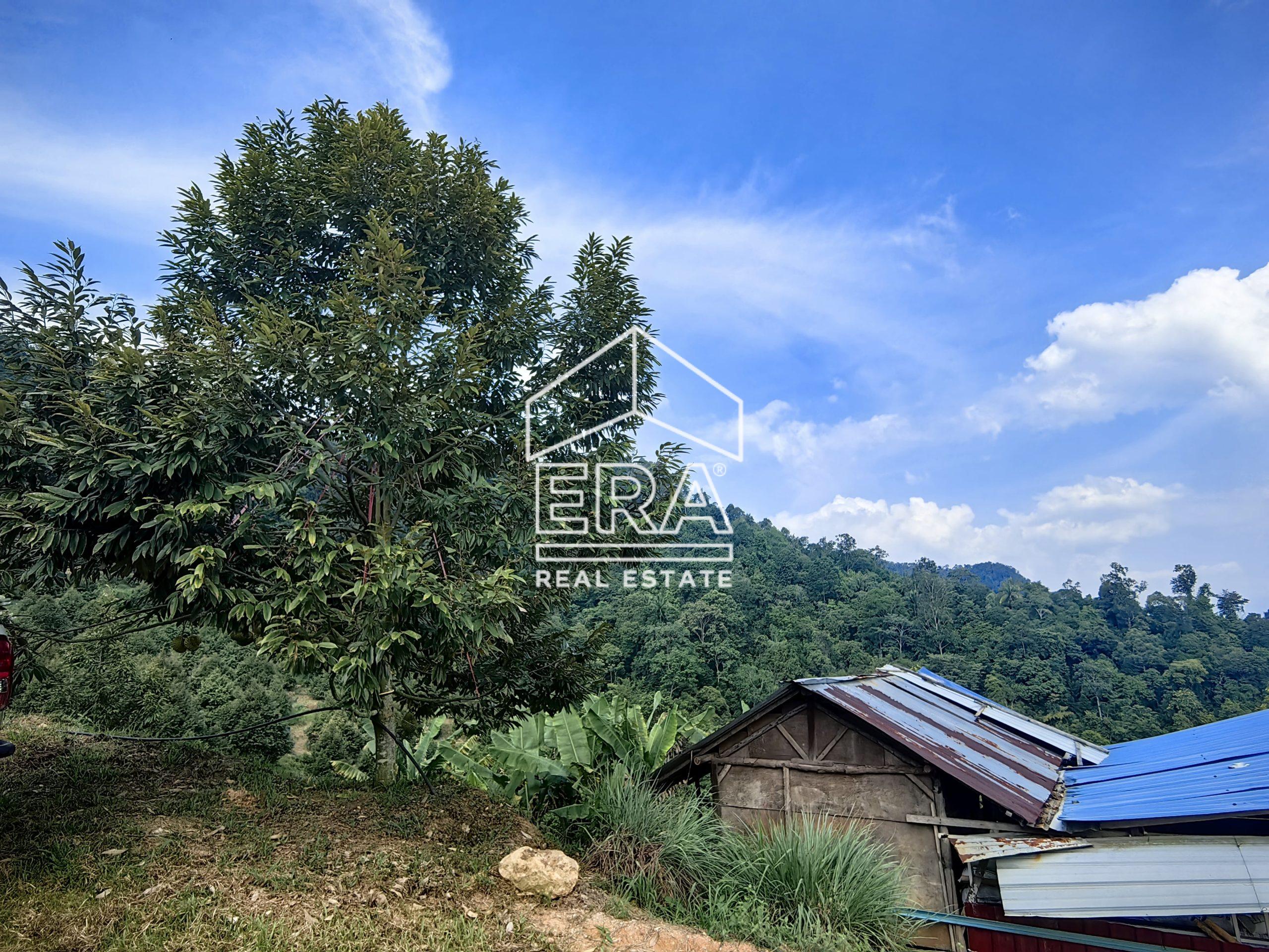 IMG_20240703_152136-1-scaled-1