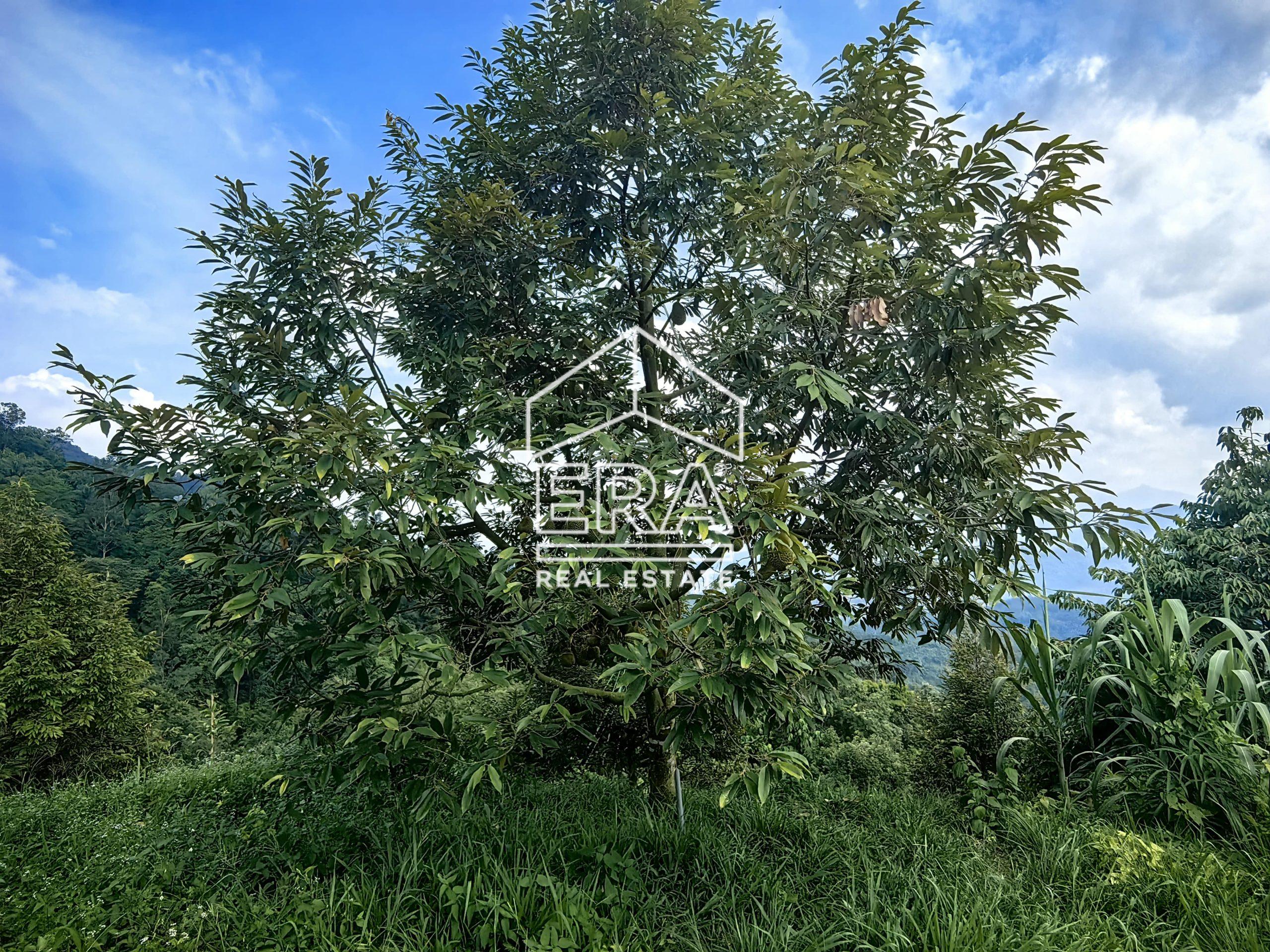 IMG_20240703_152157-1-scaled-1