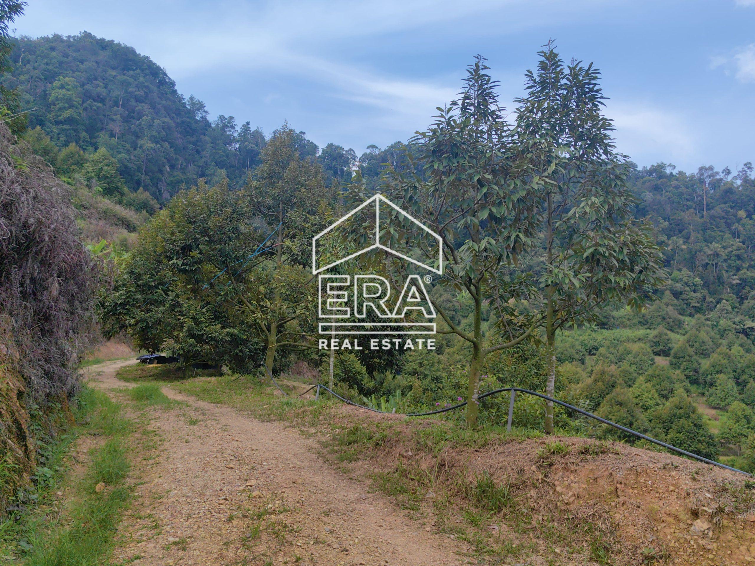 IMG_20240703_152350-1-scaled-1