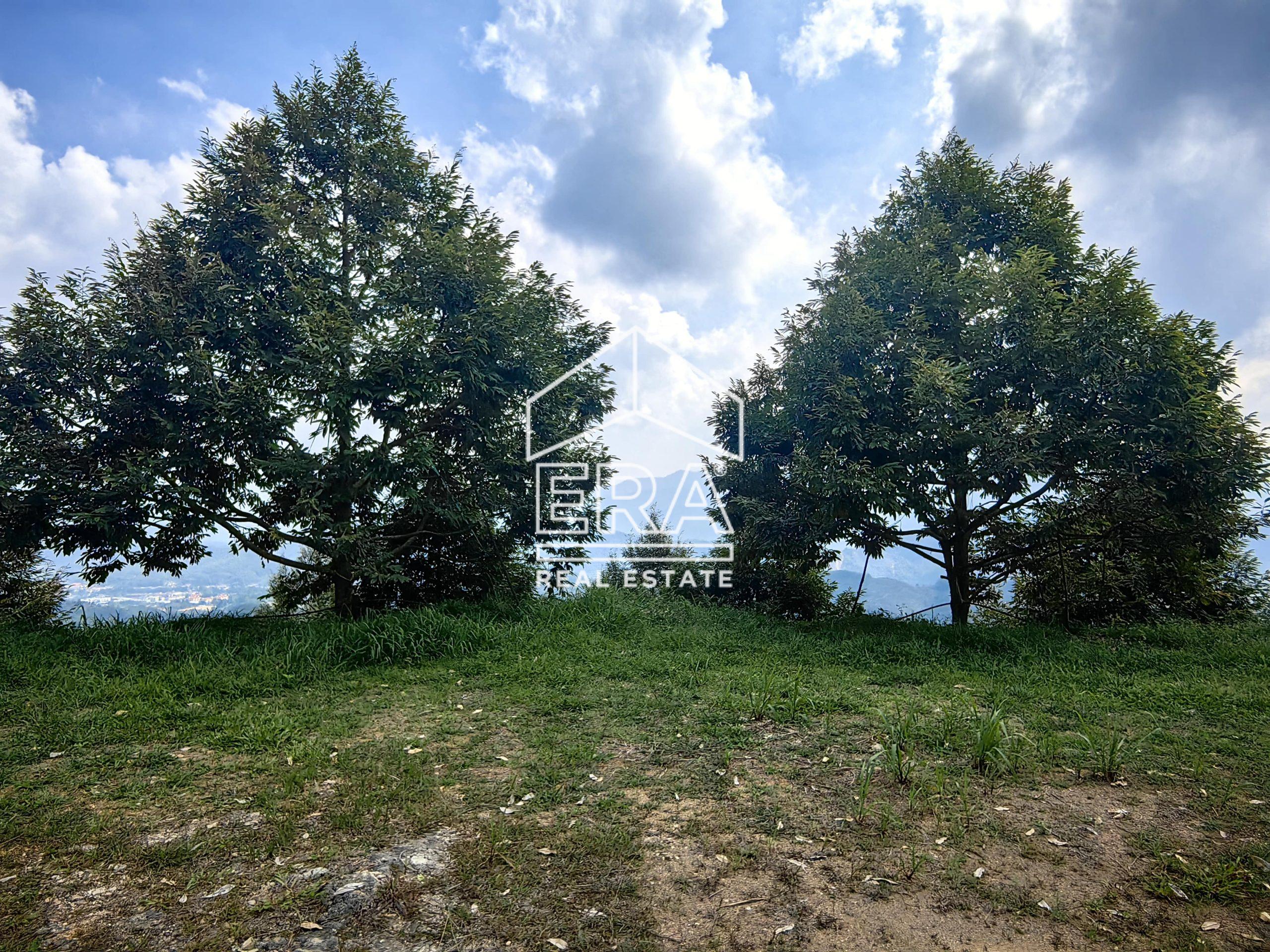 IMG_20240703_152842-1-scaled-1