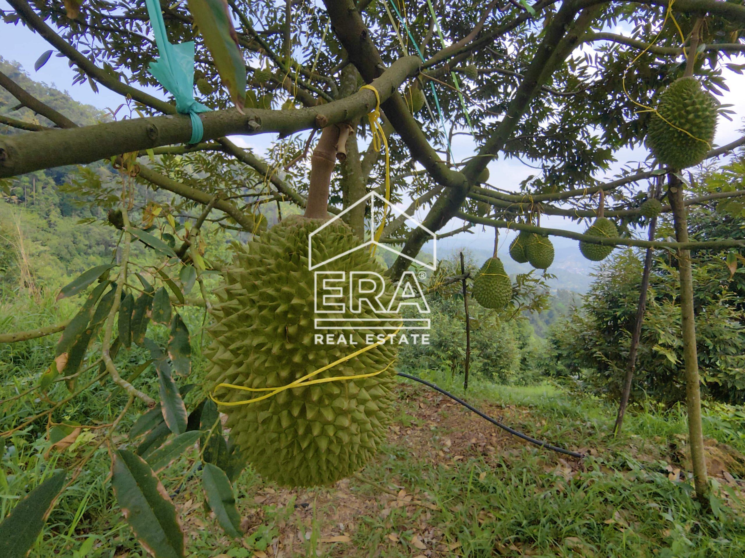 IMG_20240703_153015-scaled-1