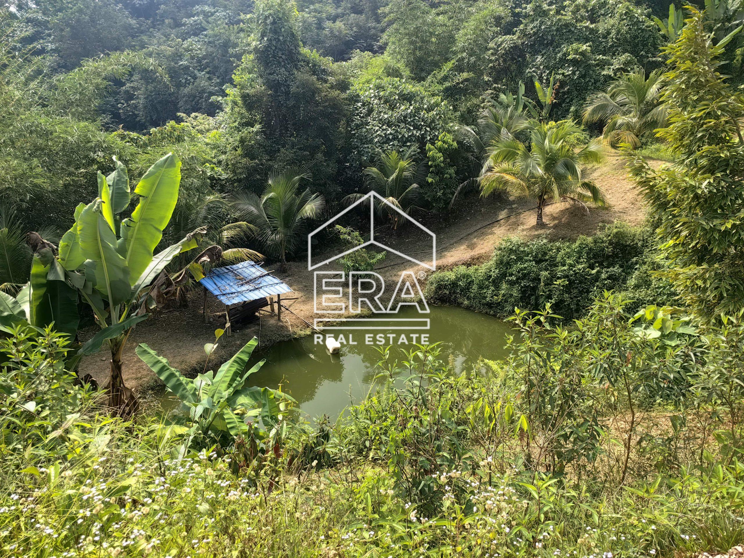 IMG_20240703_153621-1-scaled-1