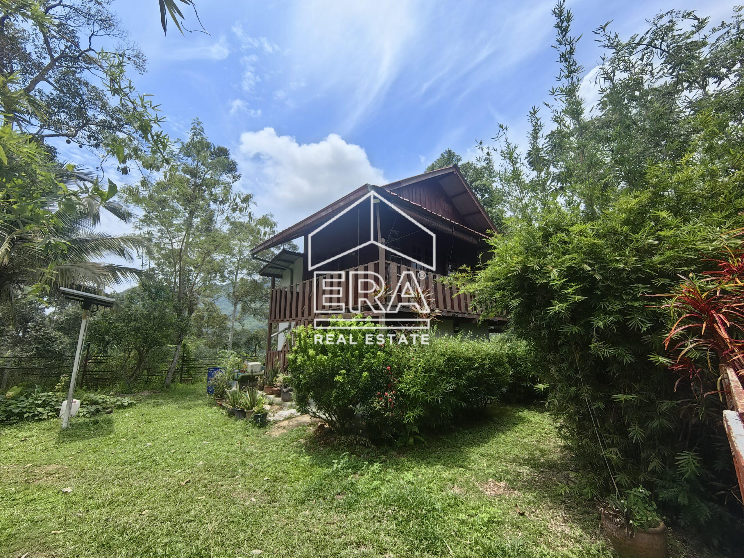 IMG_20240822_125112-scaled-1