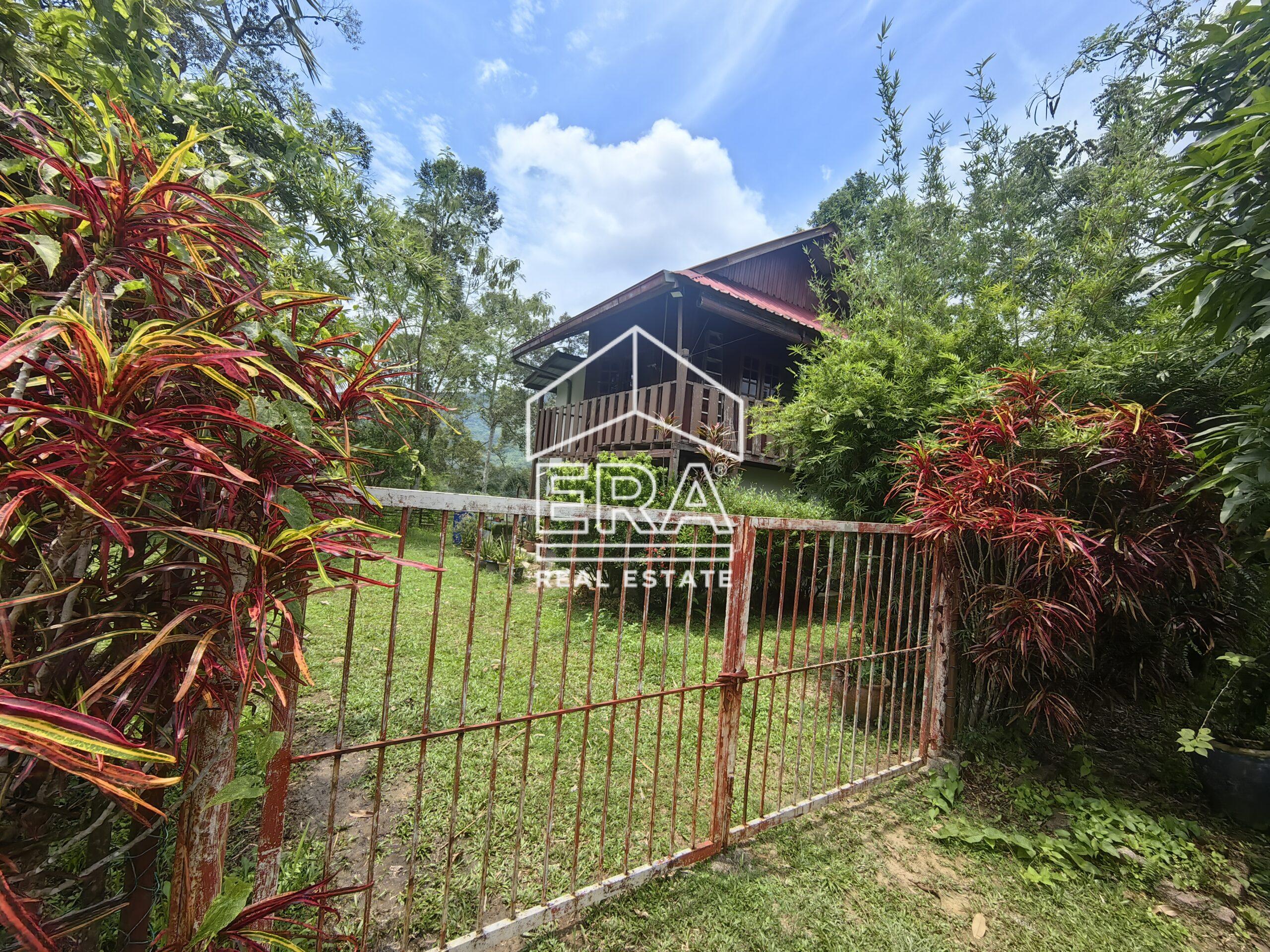 IMG_20240822_125122-scaled-1