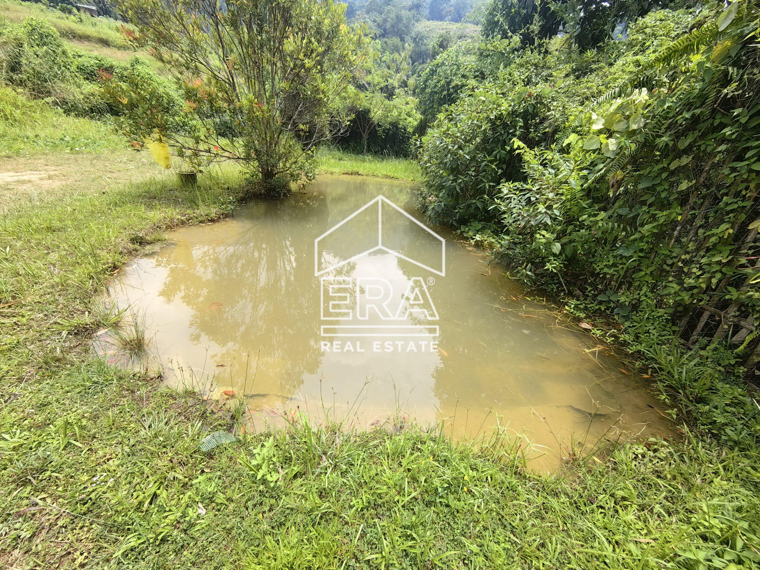 IMG_20240822_125126-scaled-1