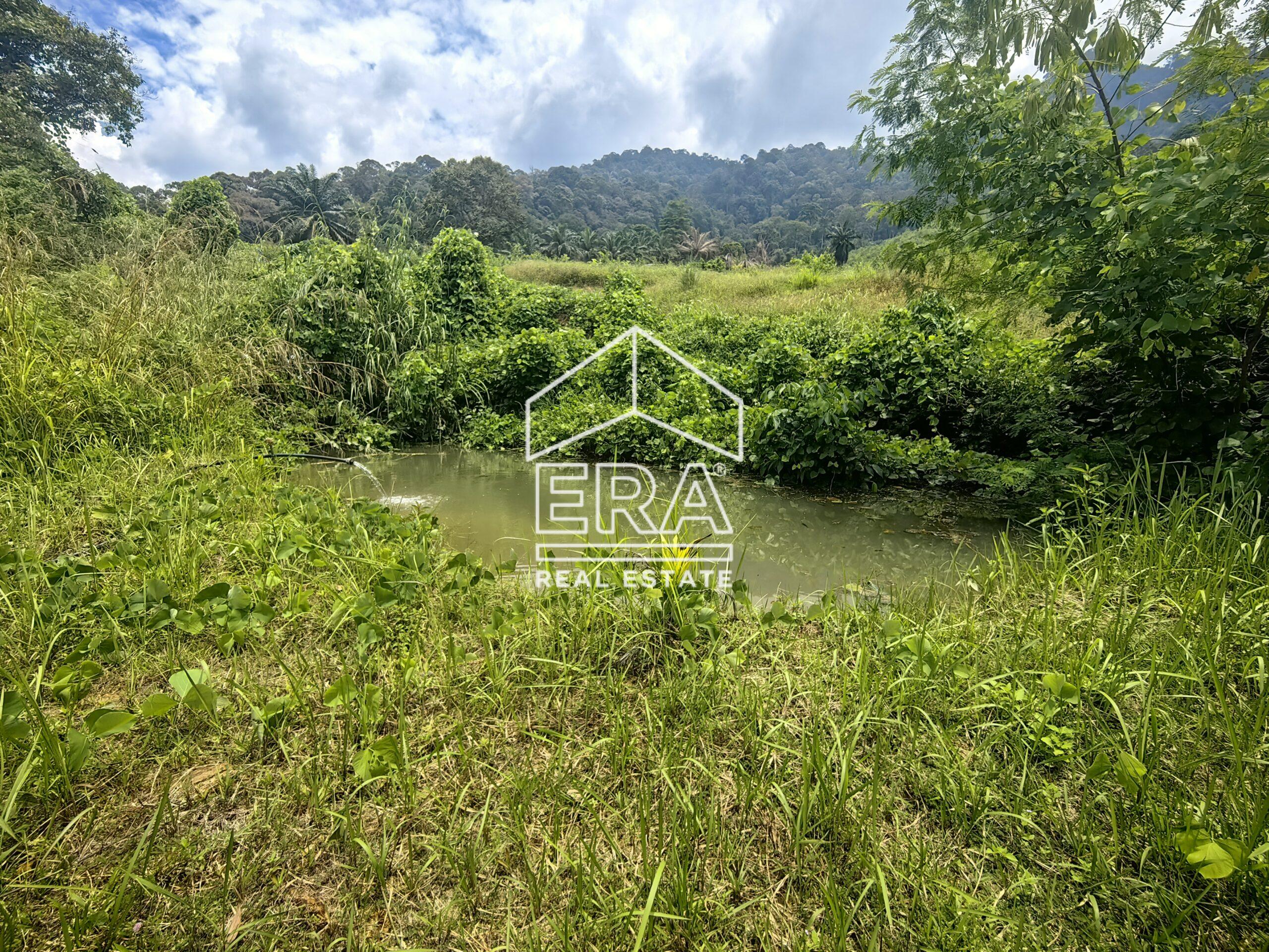 IMG_20240822_125214-scaled-1