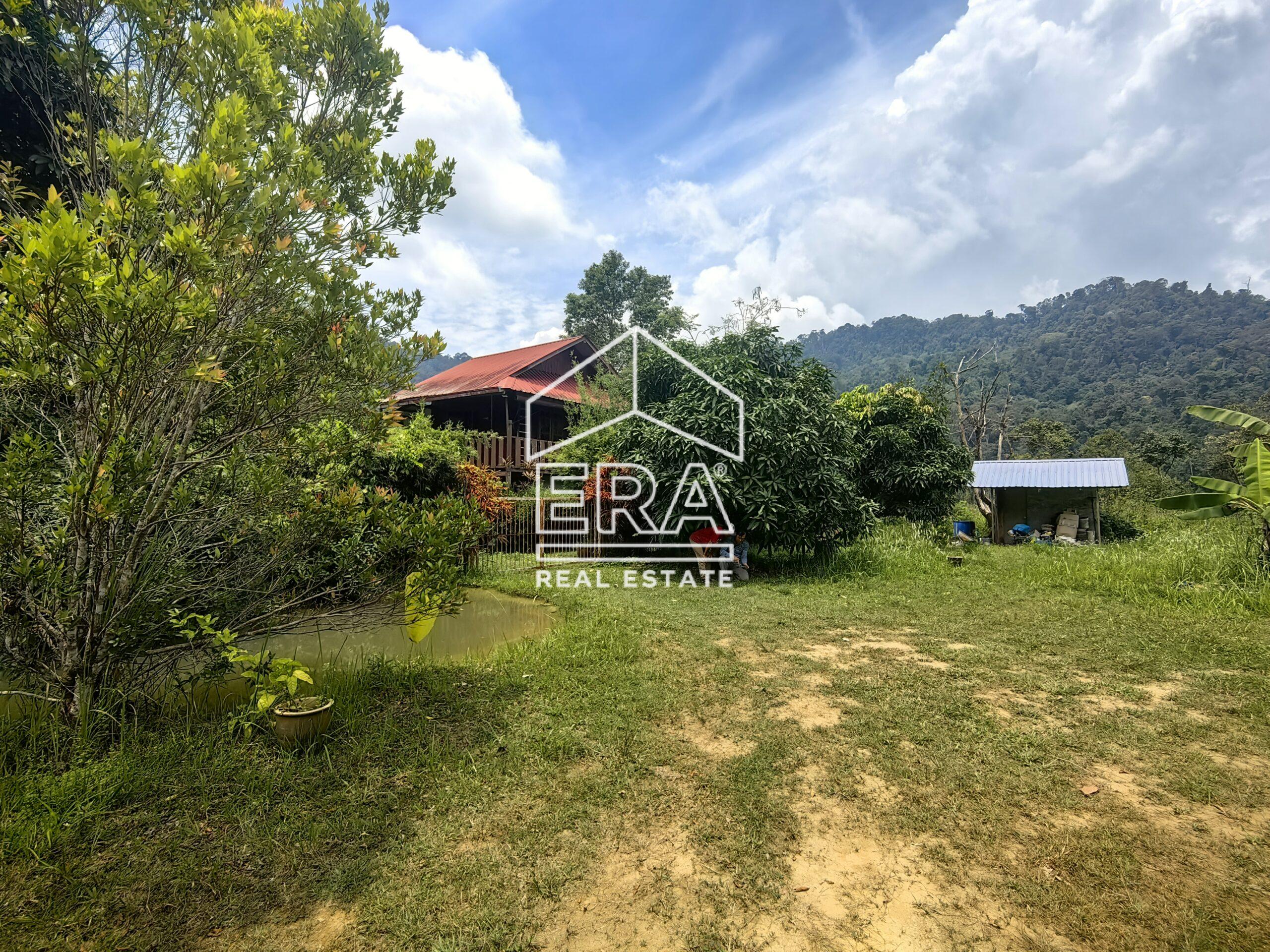 IMG_20240822_125228-scaled-1