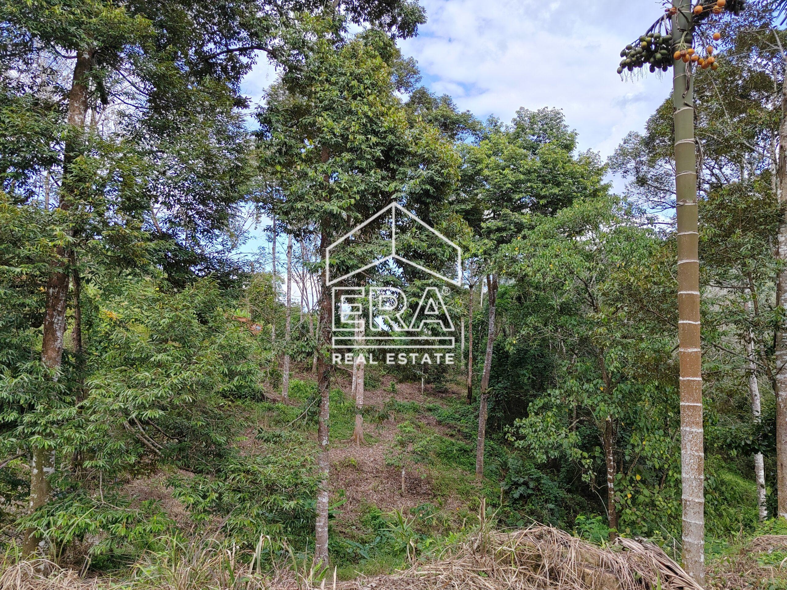 IMG_20250301_161200-scaled-1