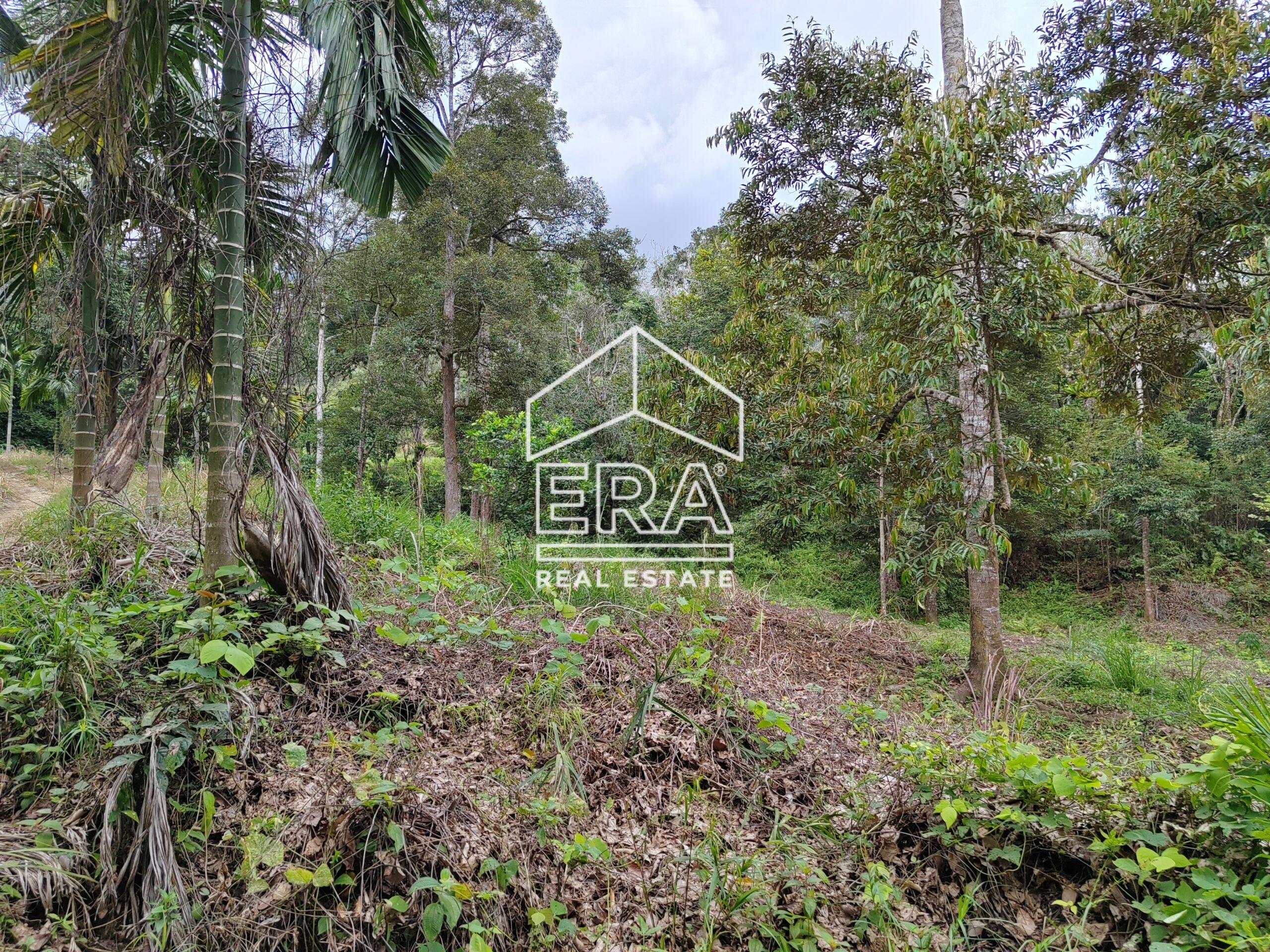 IMG_20250306_120142-scaled-1