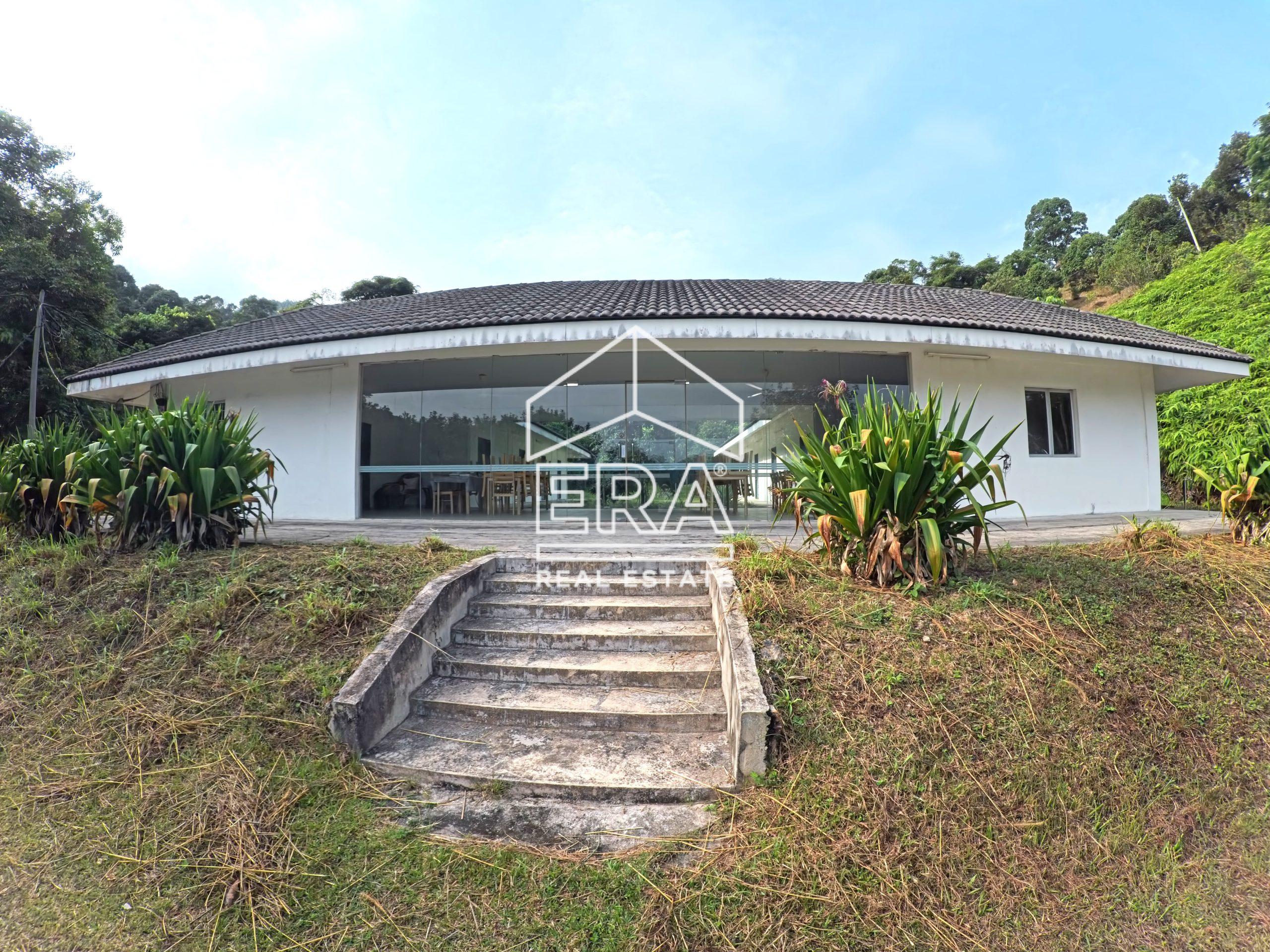 IMG_20260121_093800_016-compressed-scaled-1