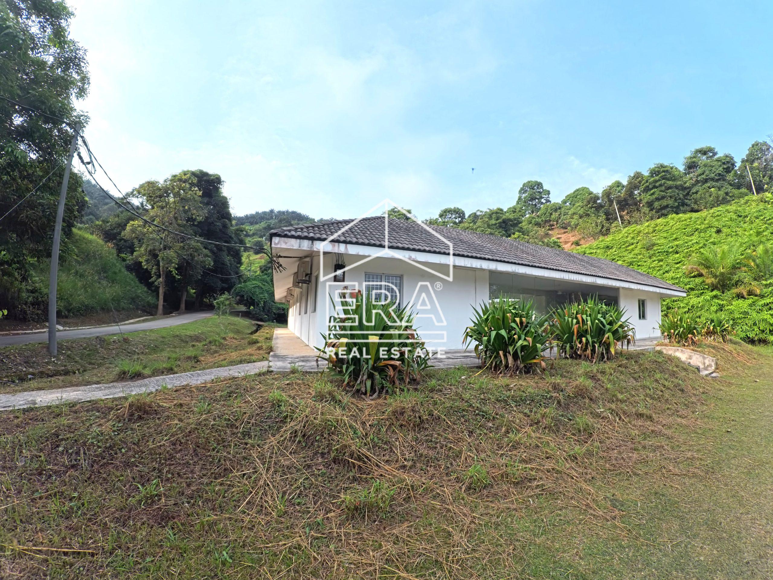 OH-181-1-compressed-scaled-1