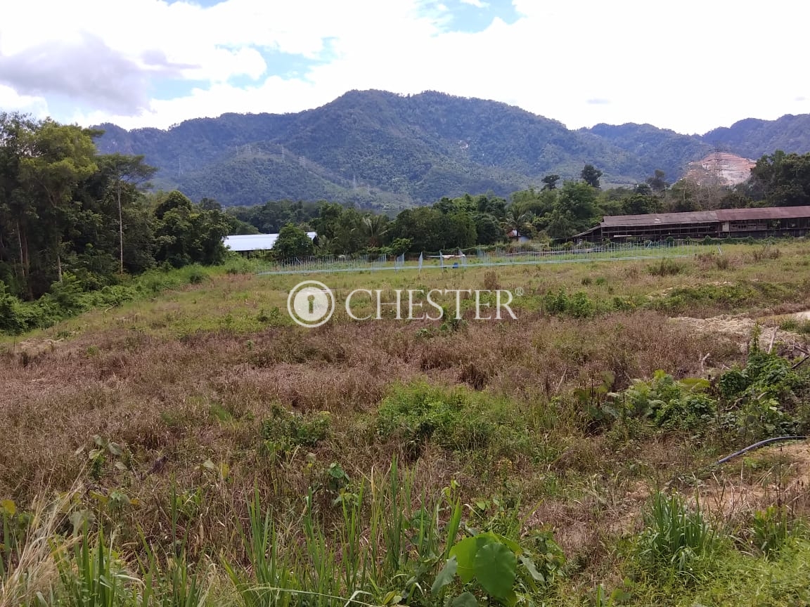 PHOTO-2023-04-17-15-38-56-1-1