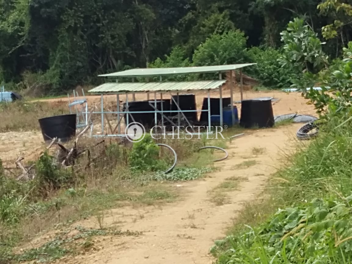 PHOTO-2023-04-17-15-38-57