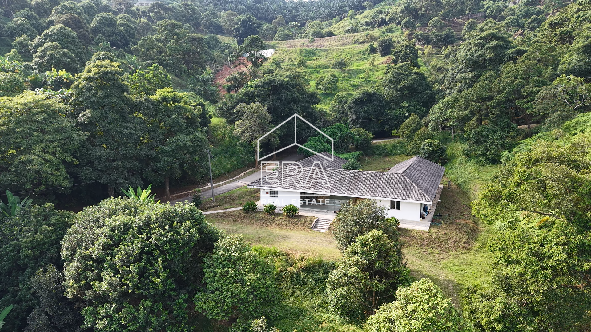 Screenshot-2026-01-23-142850-1