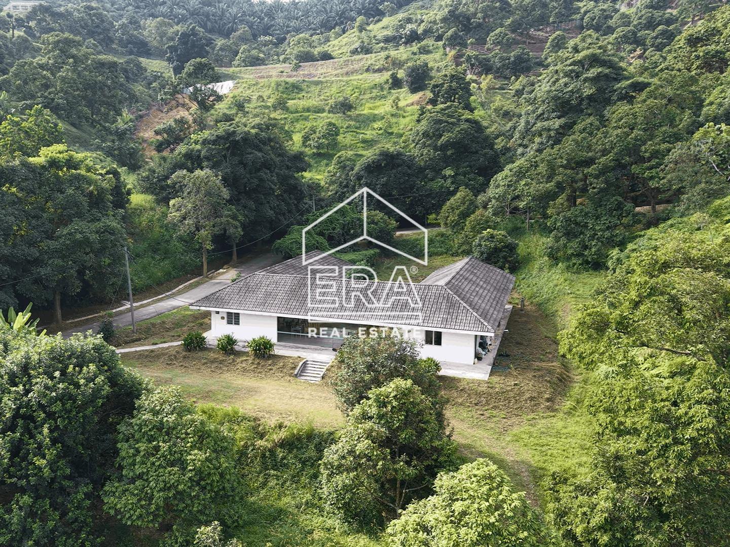 Screenshot-2026-01-23-142850-compressed