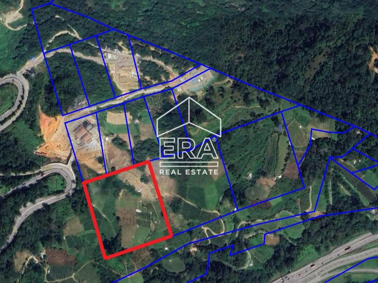 Screenshot-235-crushimage