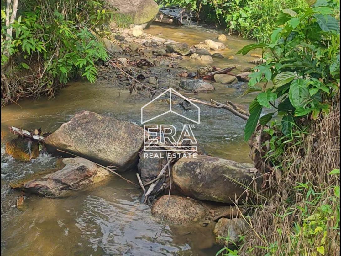 VID_20260419_102436-frame-at-0m10s